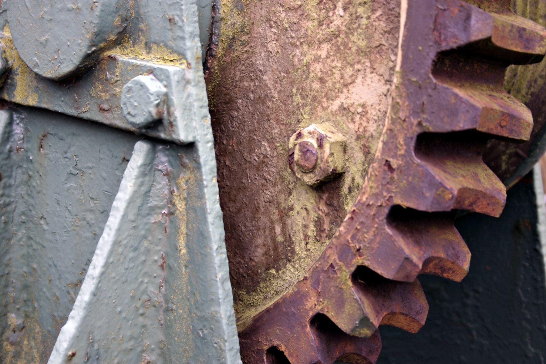 Rusted gear photo