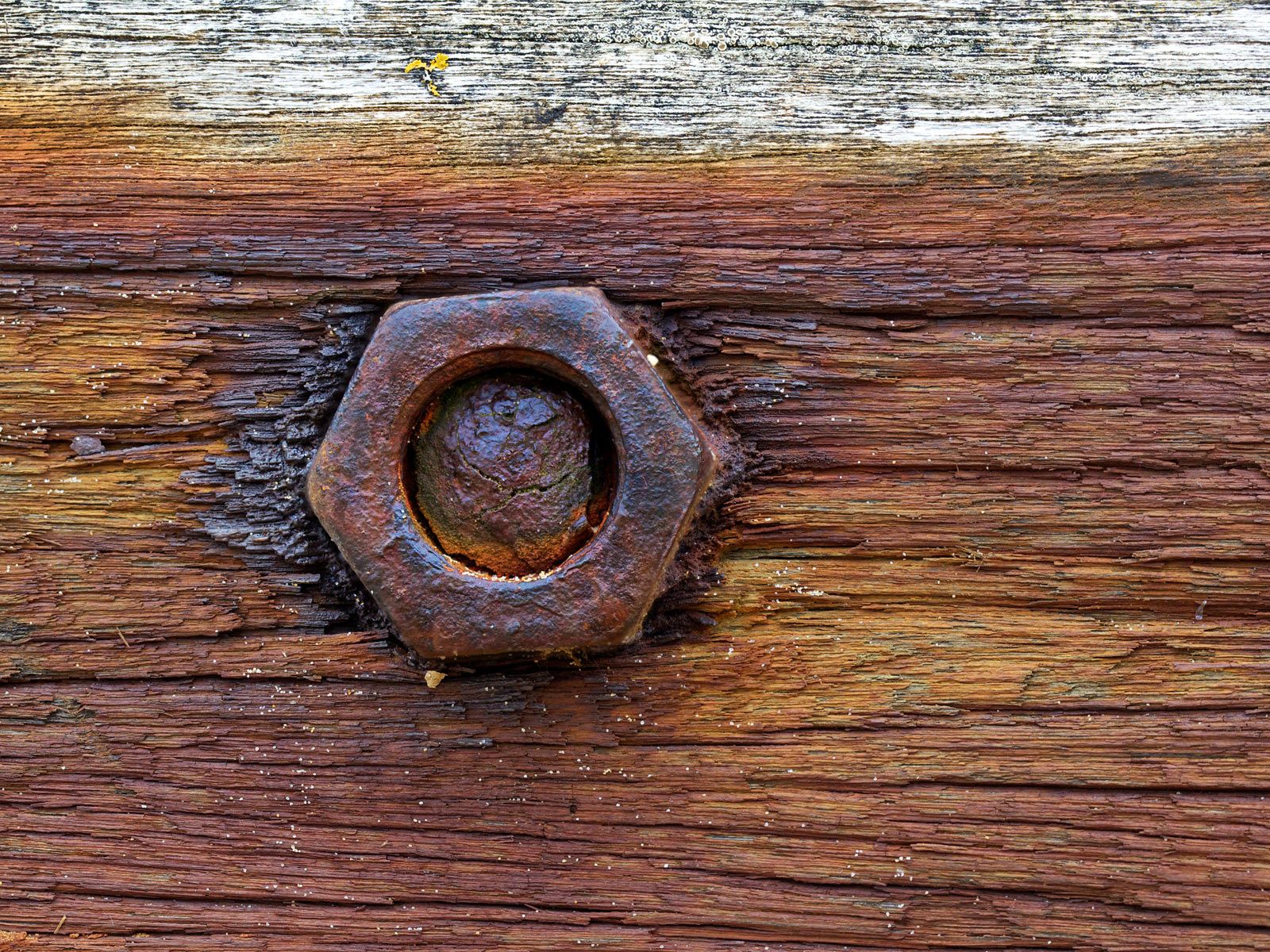 Rusted steel bolt photo