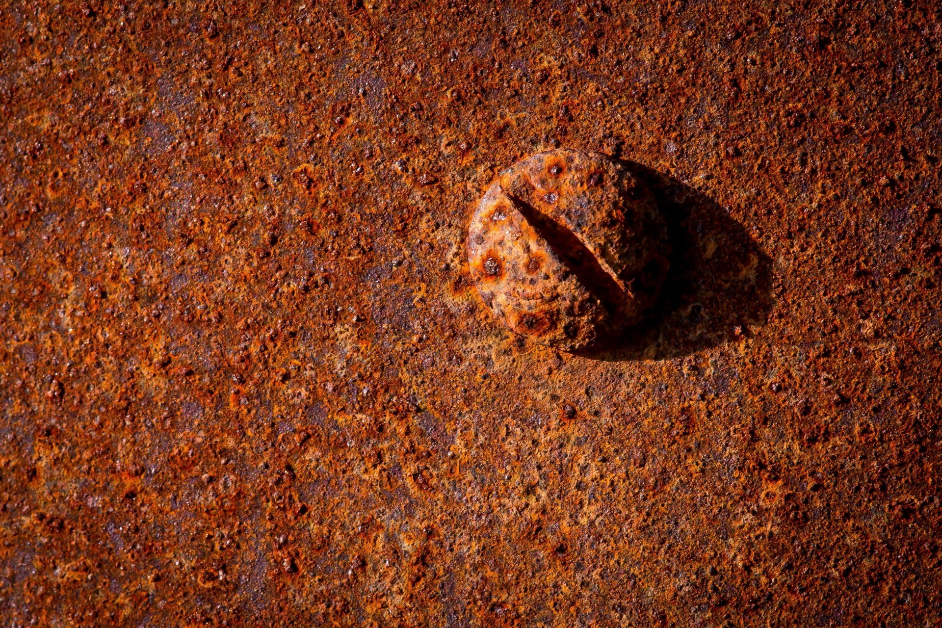 Rusted metal closeup photo