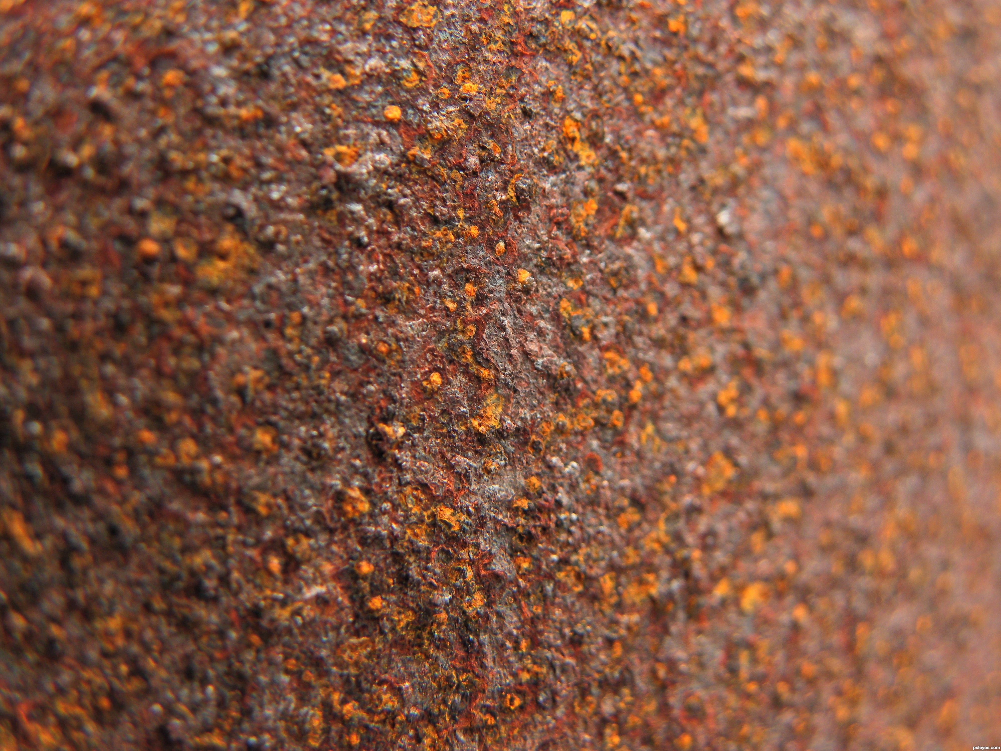 Closeup rust picture, by secretsather for: rust photography contest ...