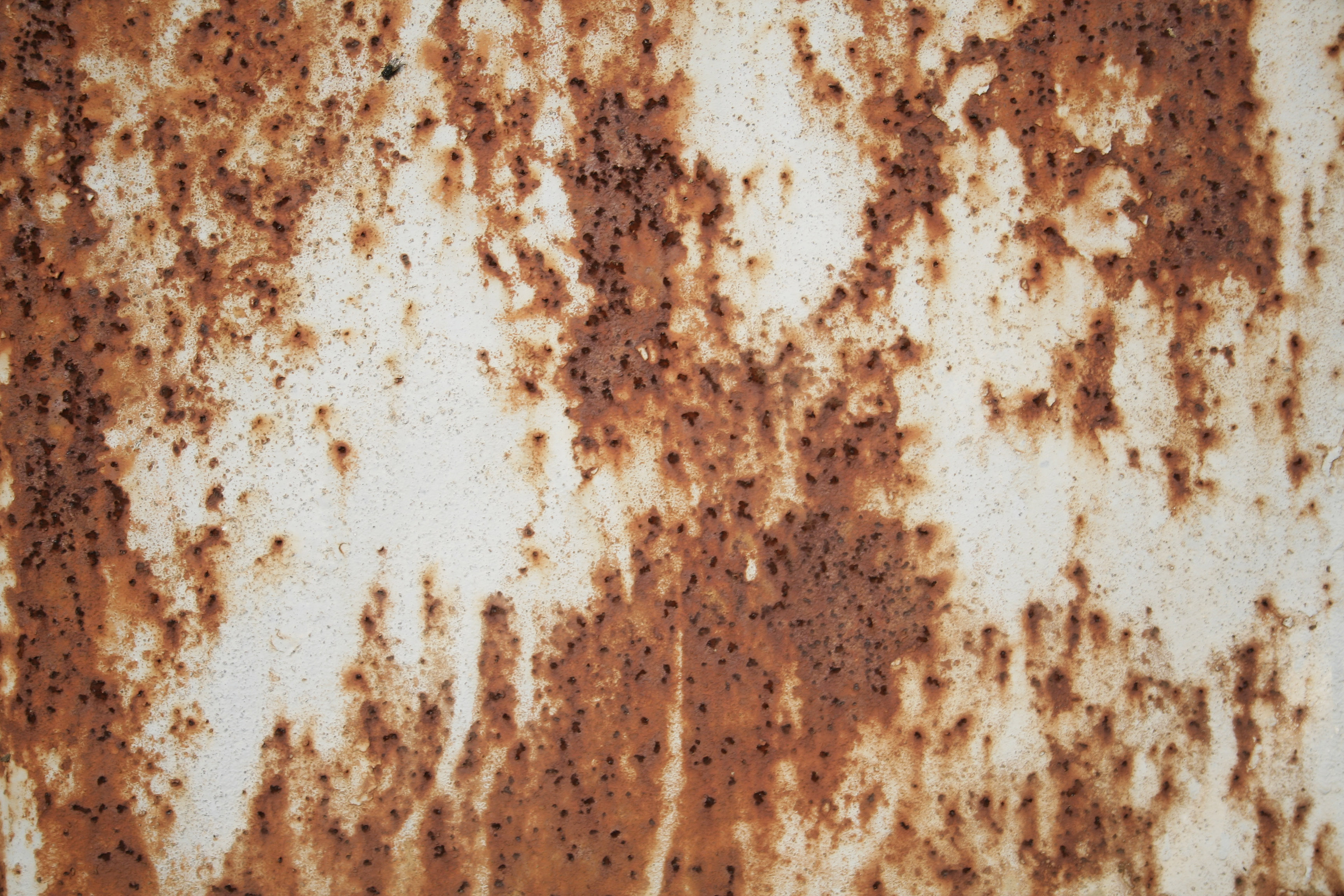 Rusty white and brown metal texture | Textures for photoshop free