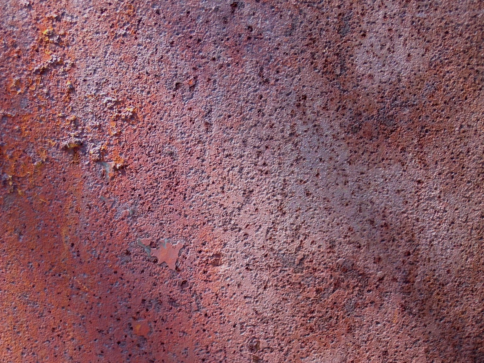 Free pastel rusty metal texture Stock Photo - FreeImages.com