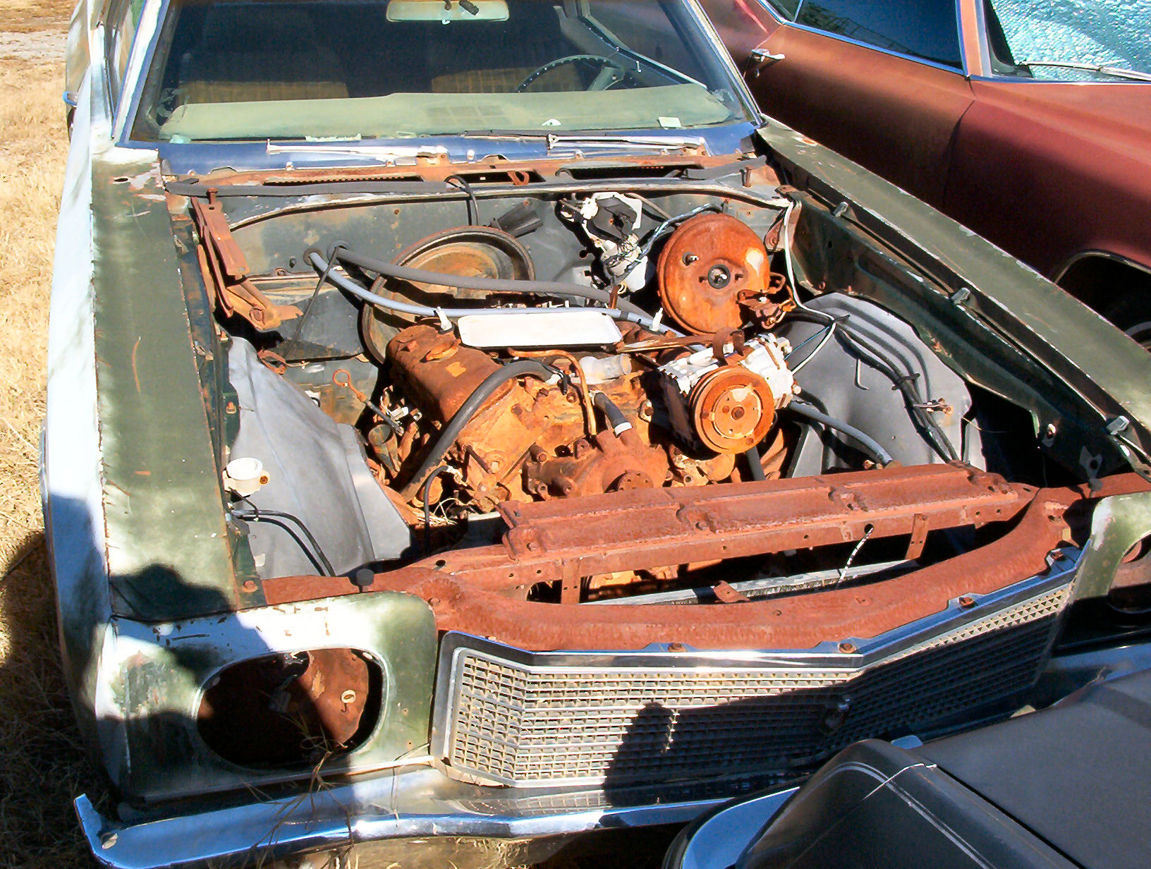 Rusted motor photo