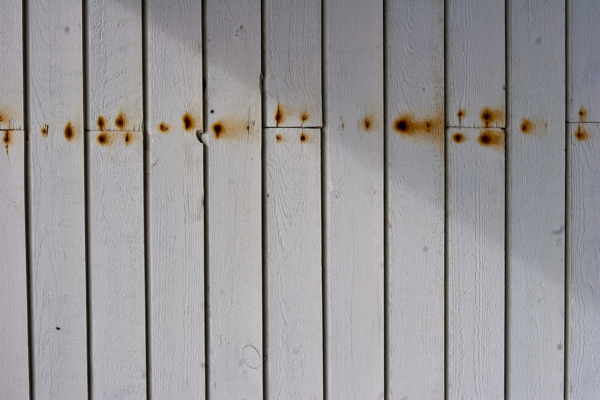 Rusted nails in wood photo