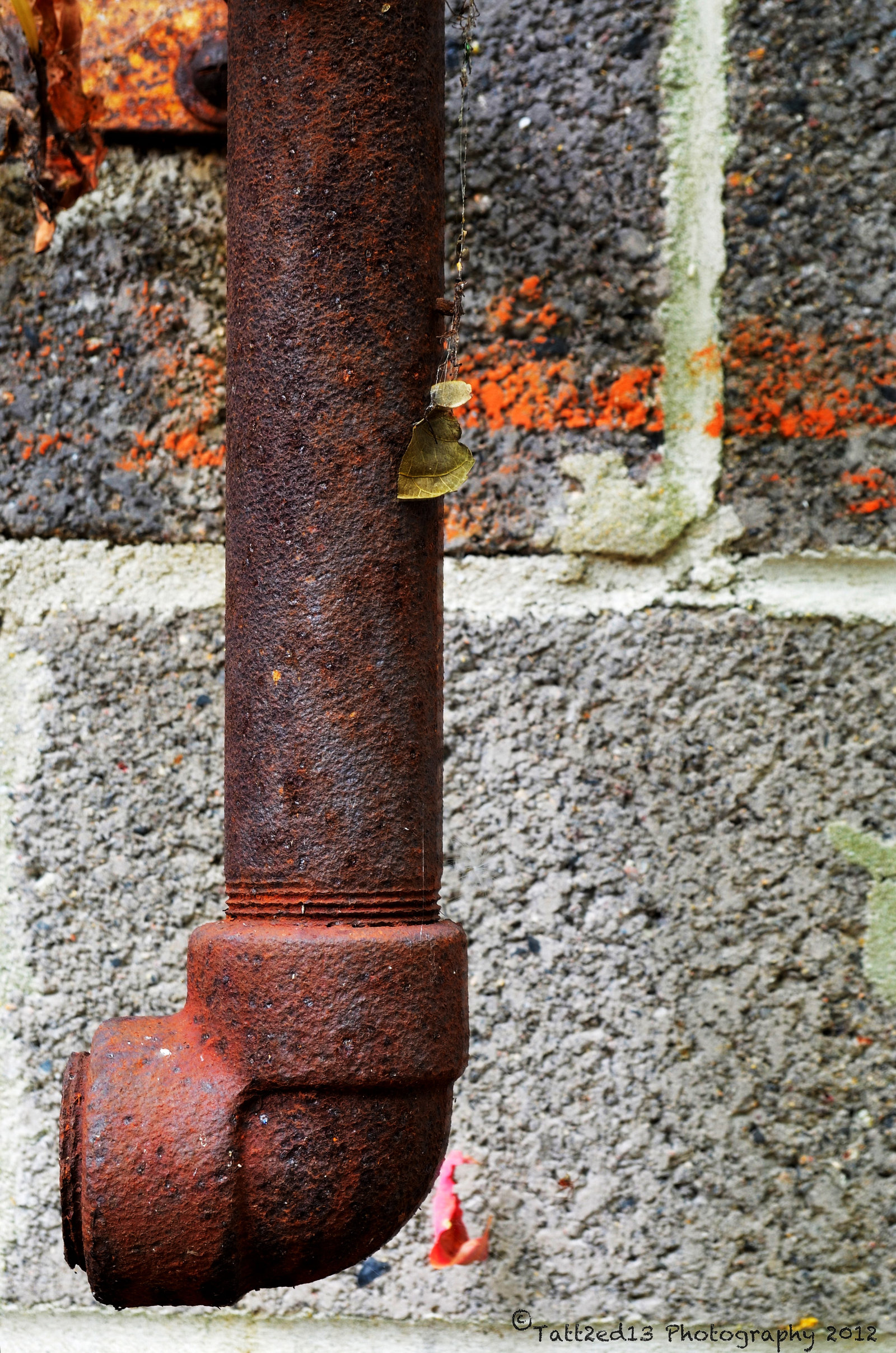 Rusted Pipe Close-up by PAlisauskas on DeviantArt