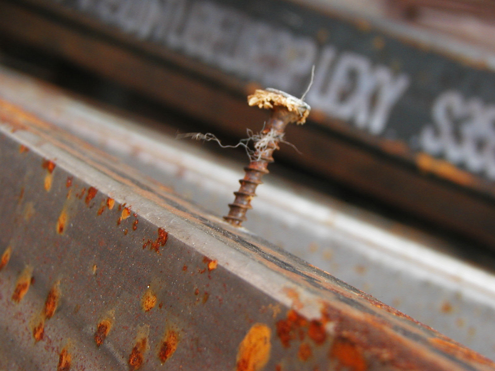 Rusted screw in metal bar photo
