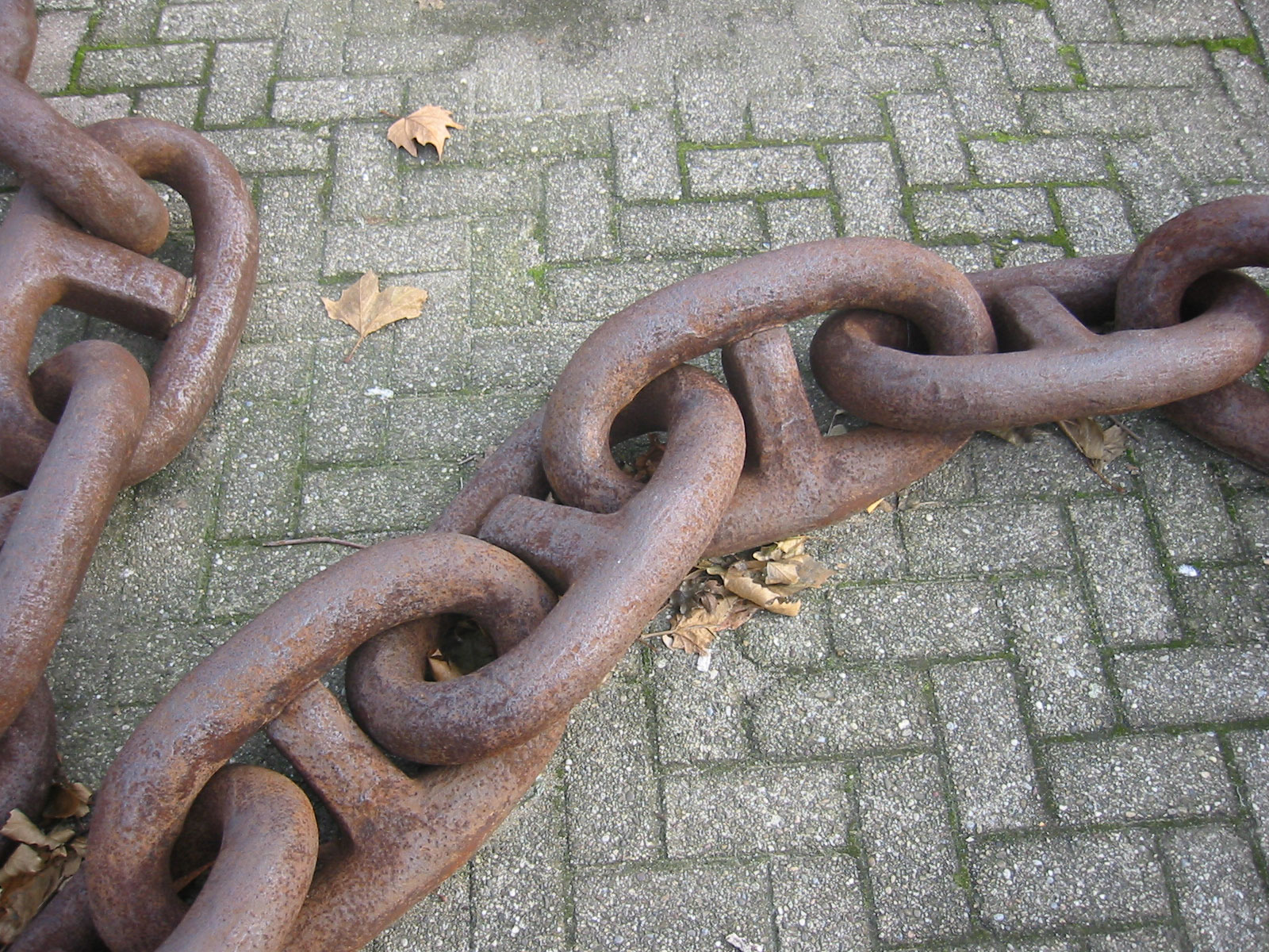 Corroded Steel Chain