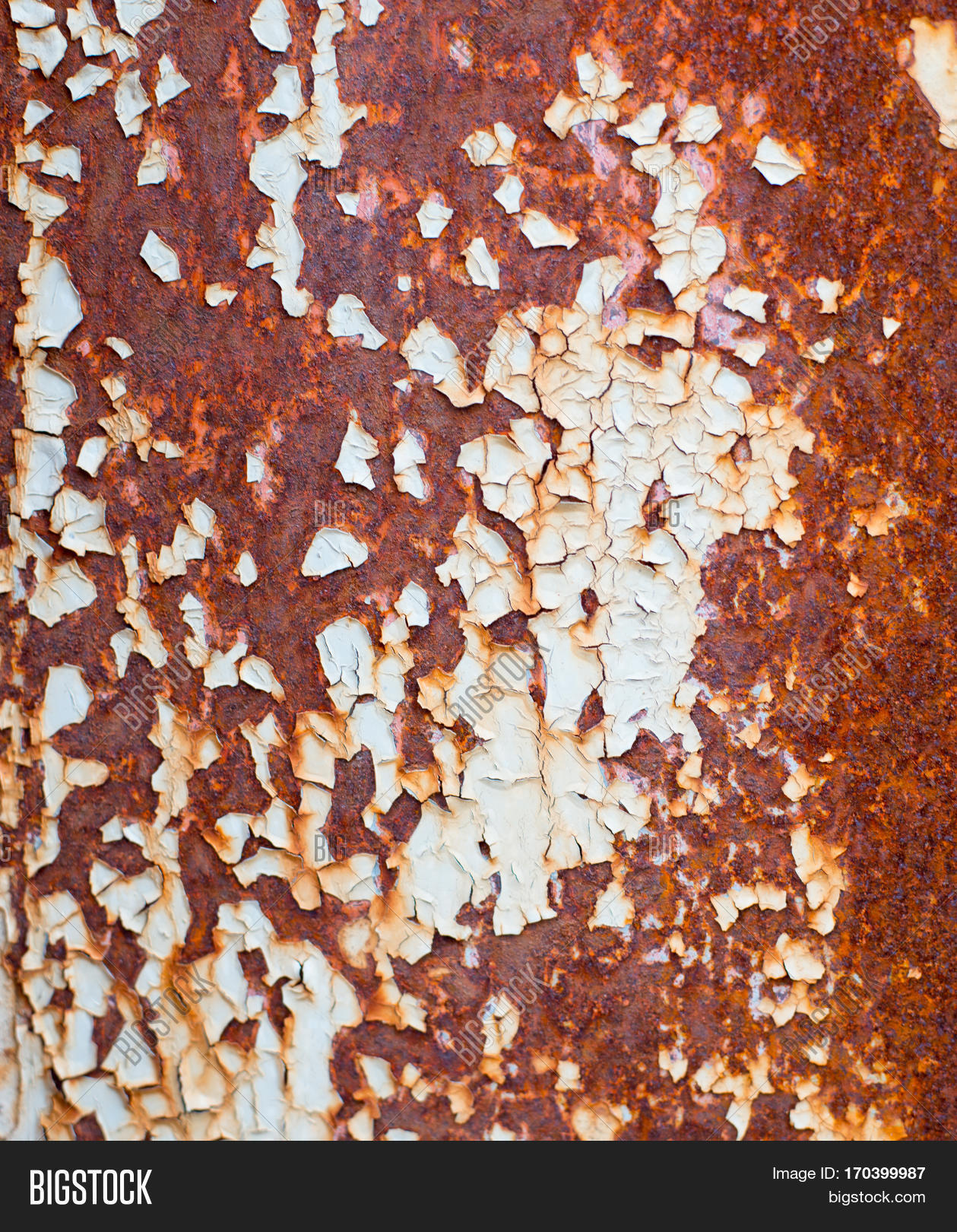 Corroded White Metal Background. Image & Photo | Bigstock