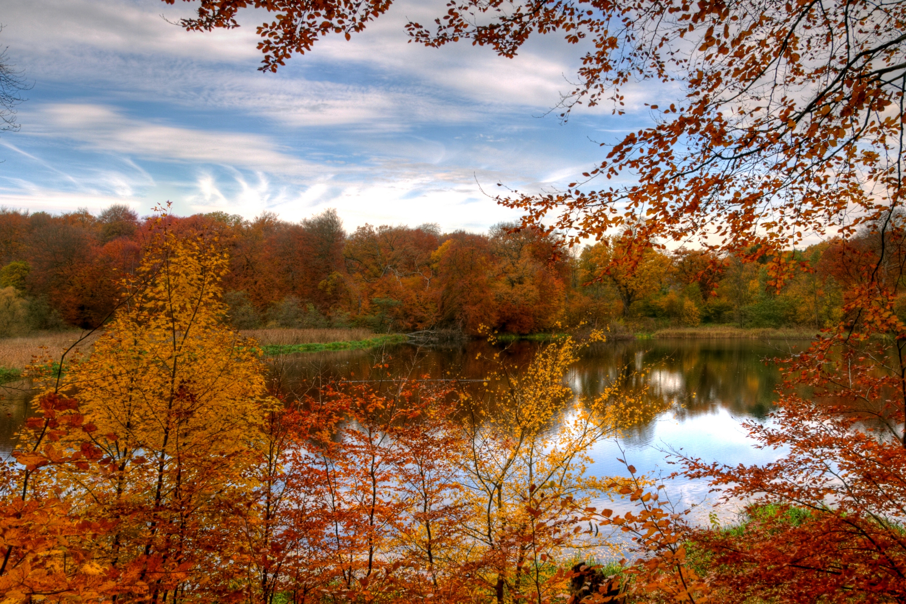 View Fall Foliage By Water | Deborah Beran's Blog