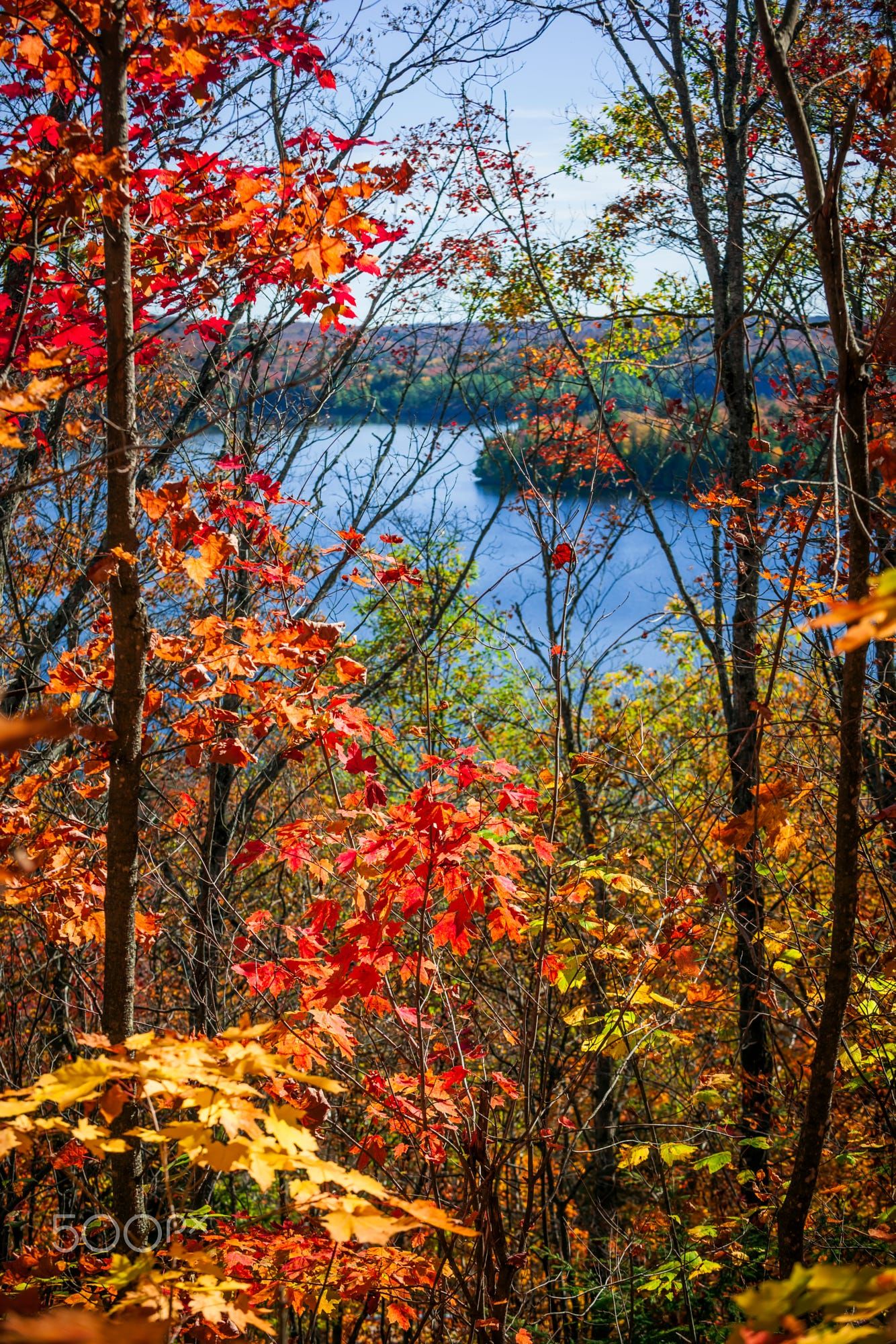 Fall forest framing scenic autumn lake view from Lookout trail in ...
