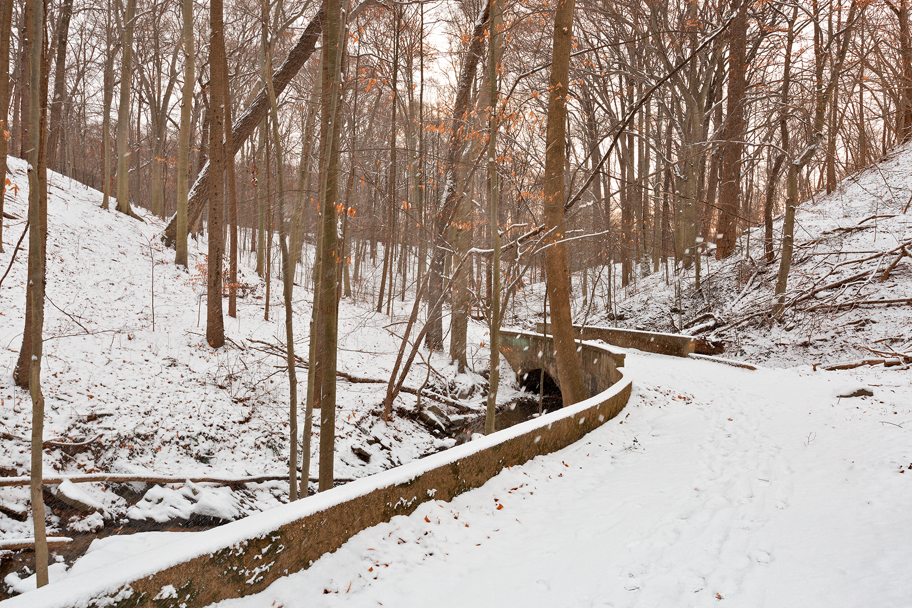 Rustic winter bridge trail photo
