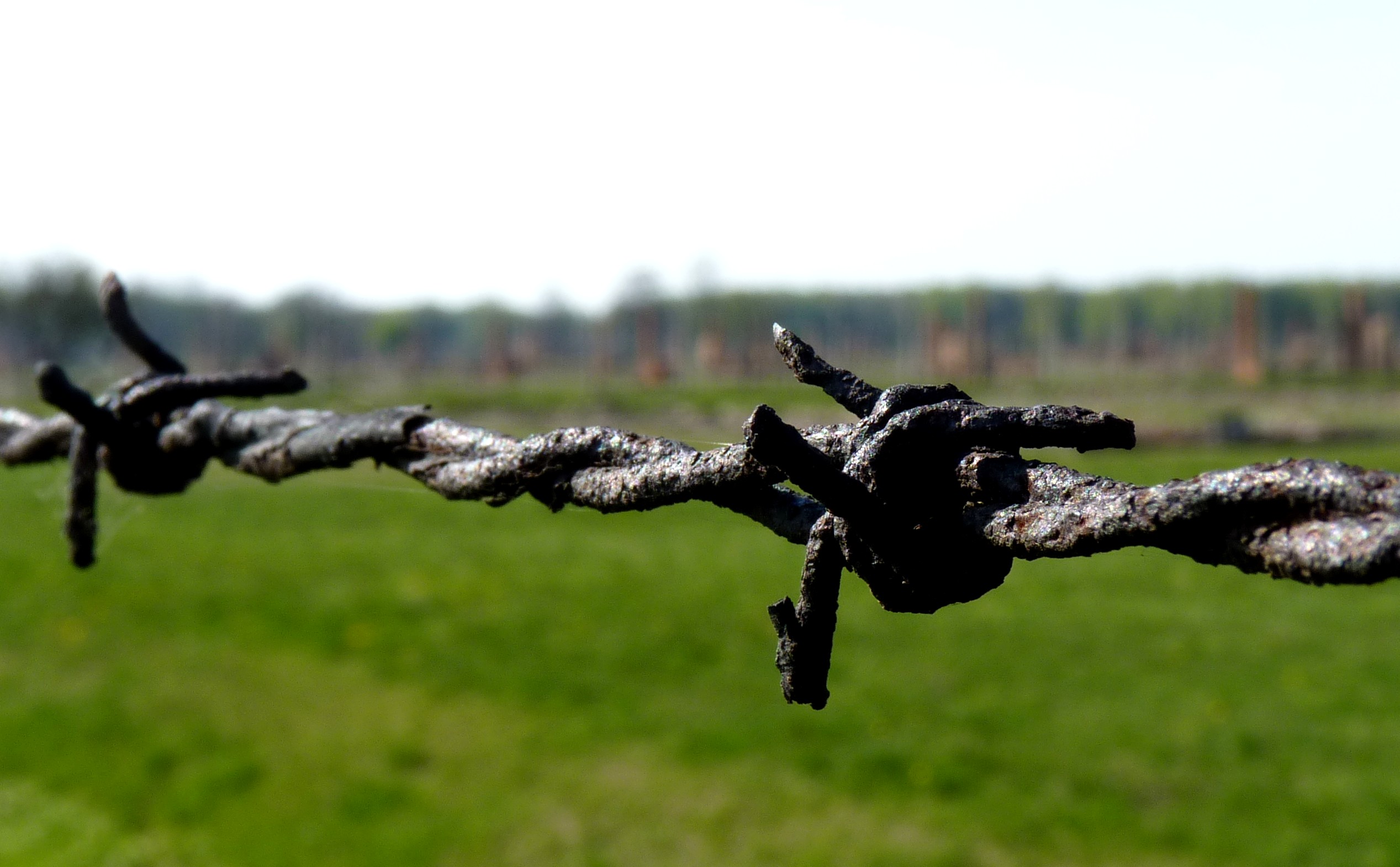 File:Auschwitz - Rusty barbed wire at Auschwitz-Birkenau.jpg ...