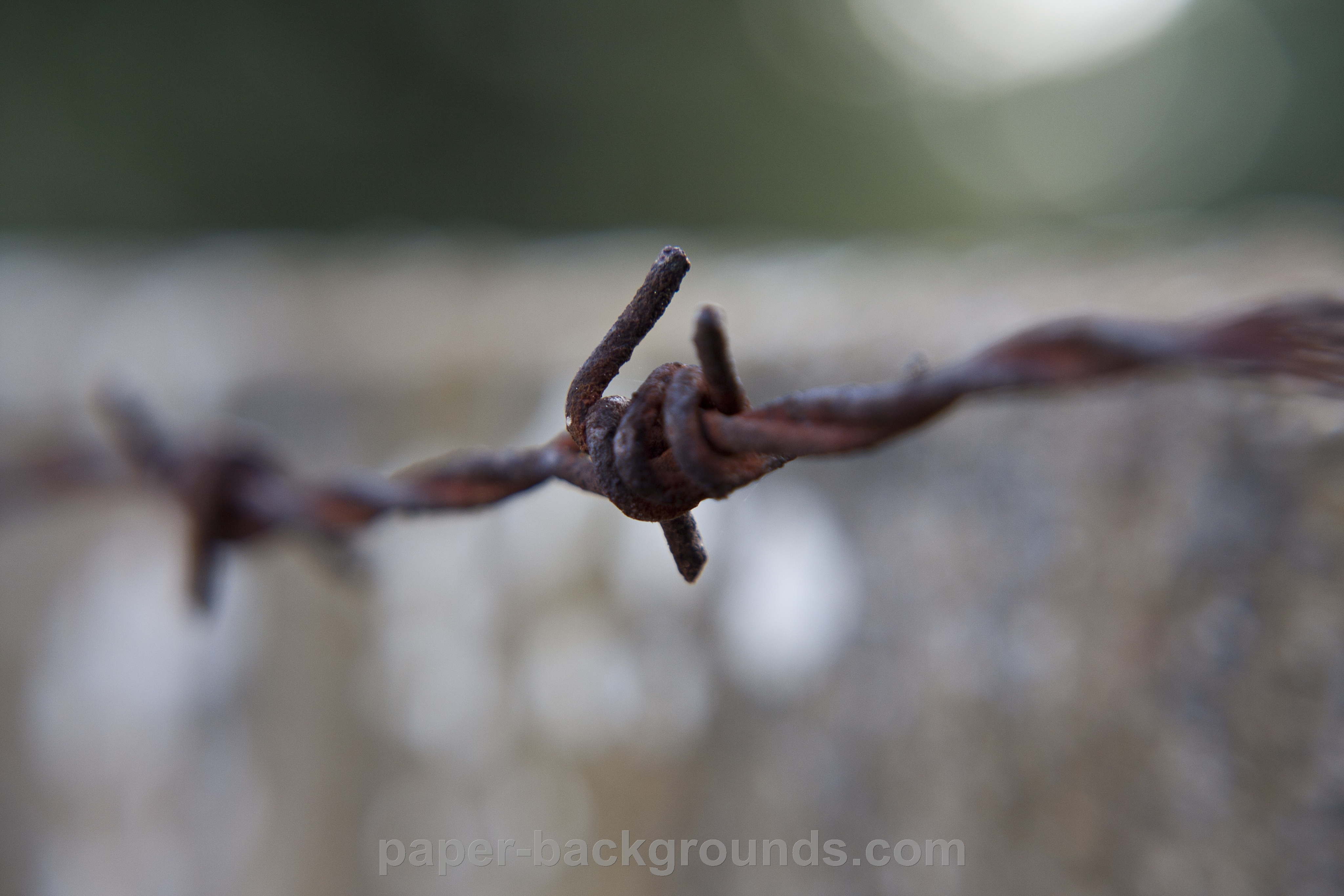 Paper Backgrounds | rusty-barbed-wire-close-up-macro