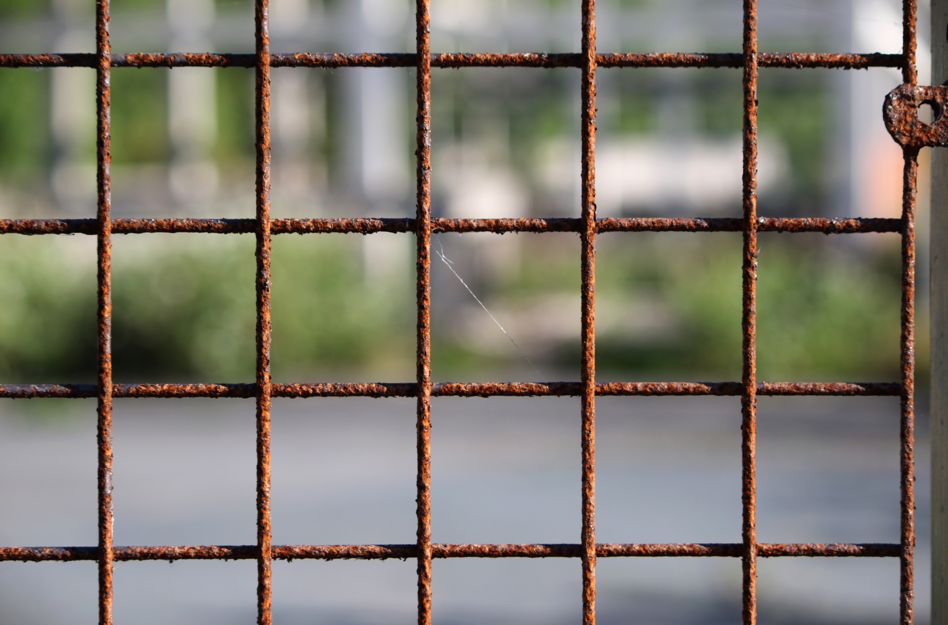 Rusty Wire Fence Free Stock Photo - Public Domain Pictures