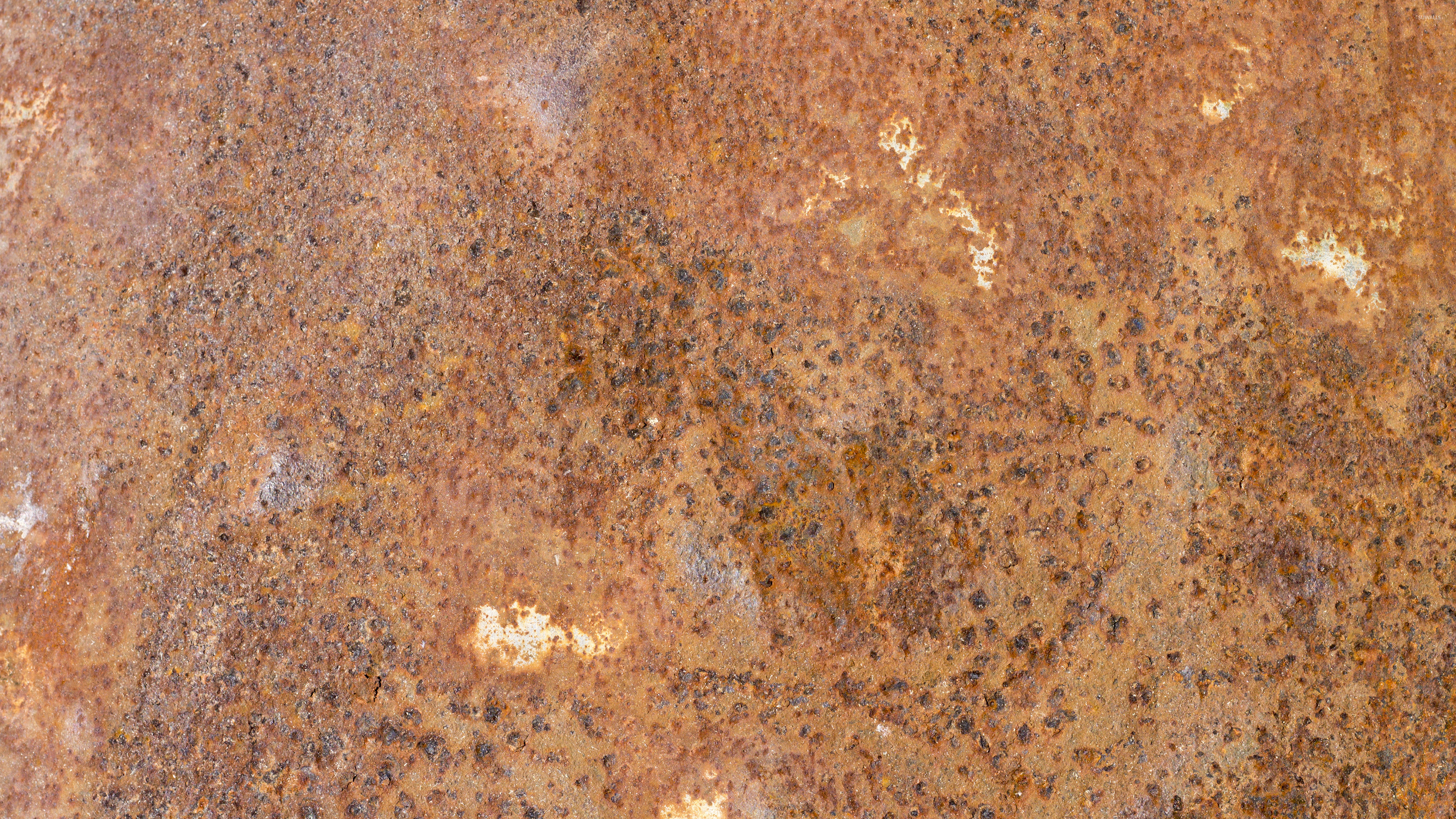 Rusty metal wallpaper - Photography wallpapers - #42094
