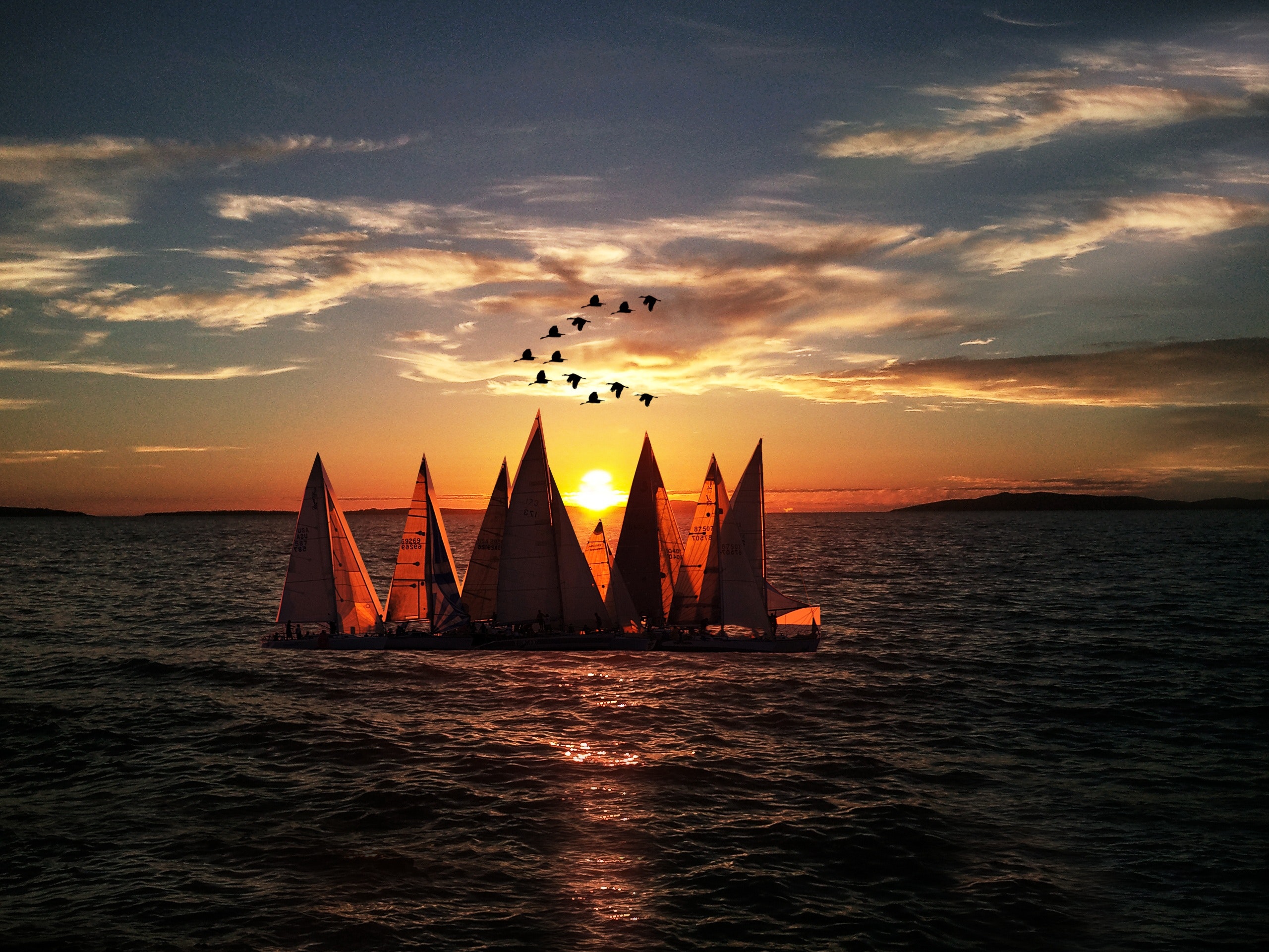 Sailboats sailing on sea during sunset photo