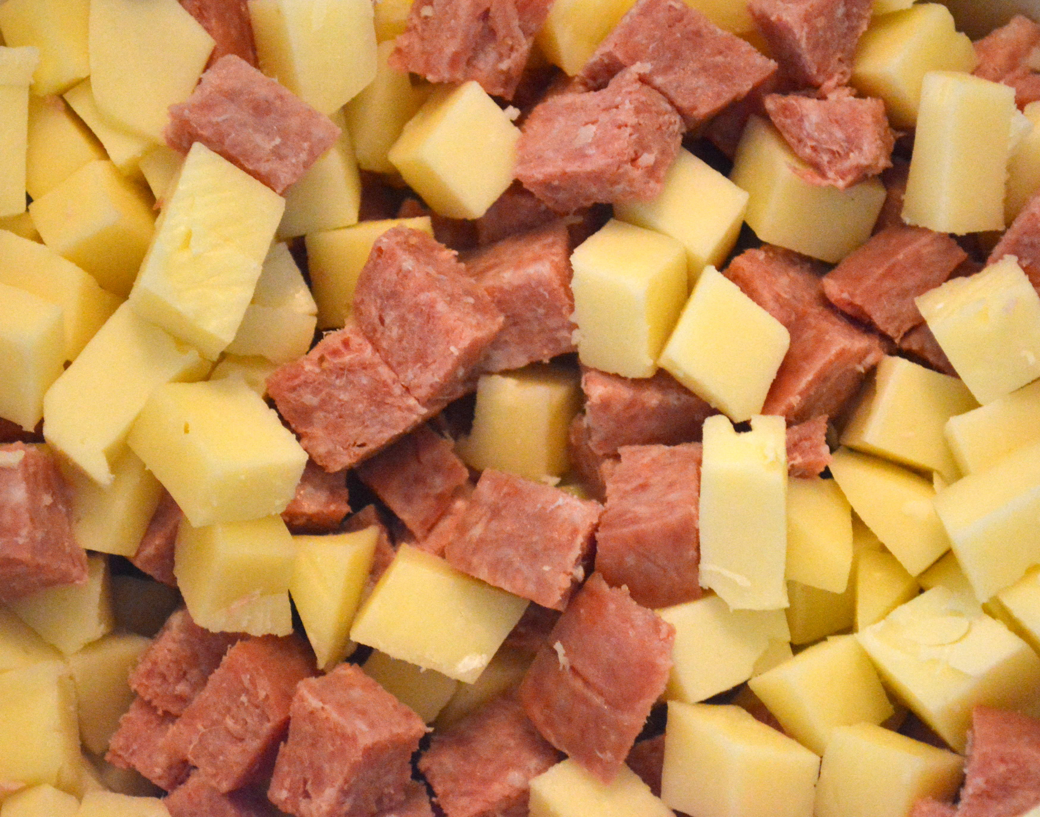 Salami and cheese in squares photo