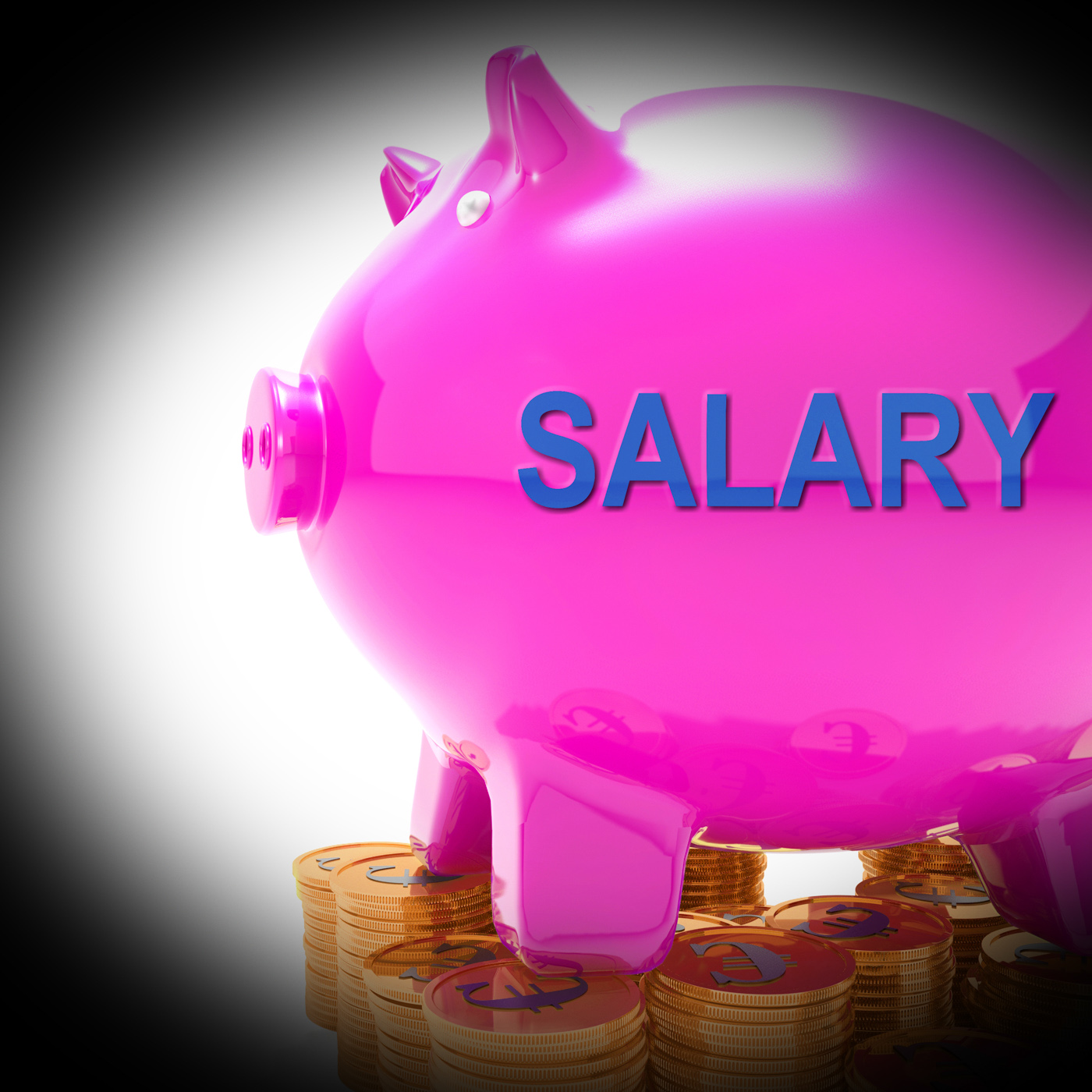 Meaning salary Salary financial