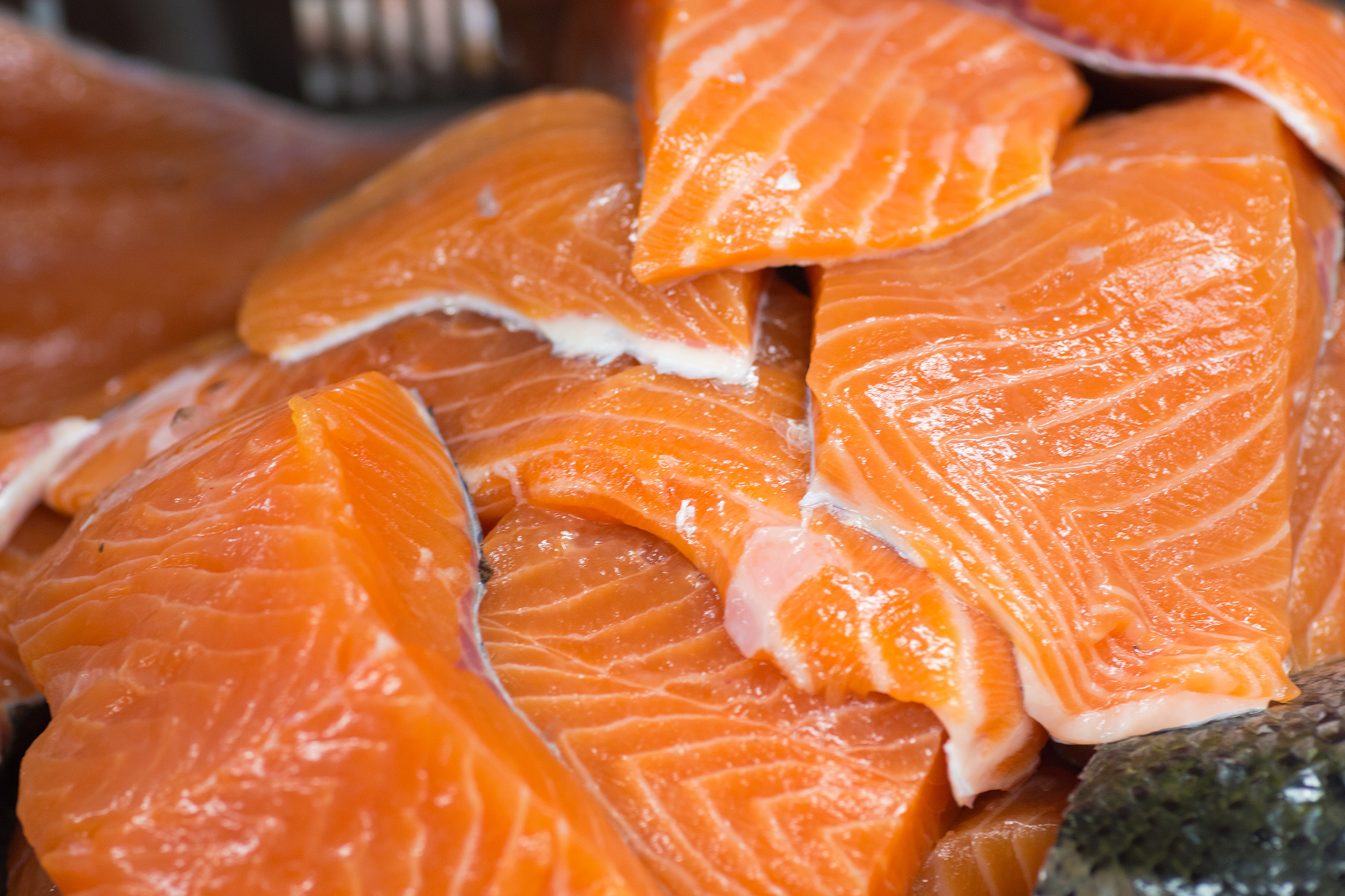 Salmon, Atlantic, Fresh, Sea-food, Sea, HQ Photo