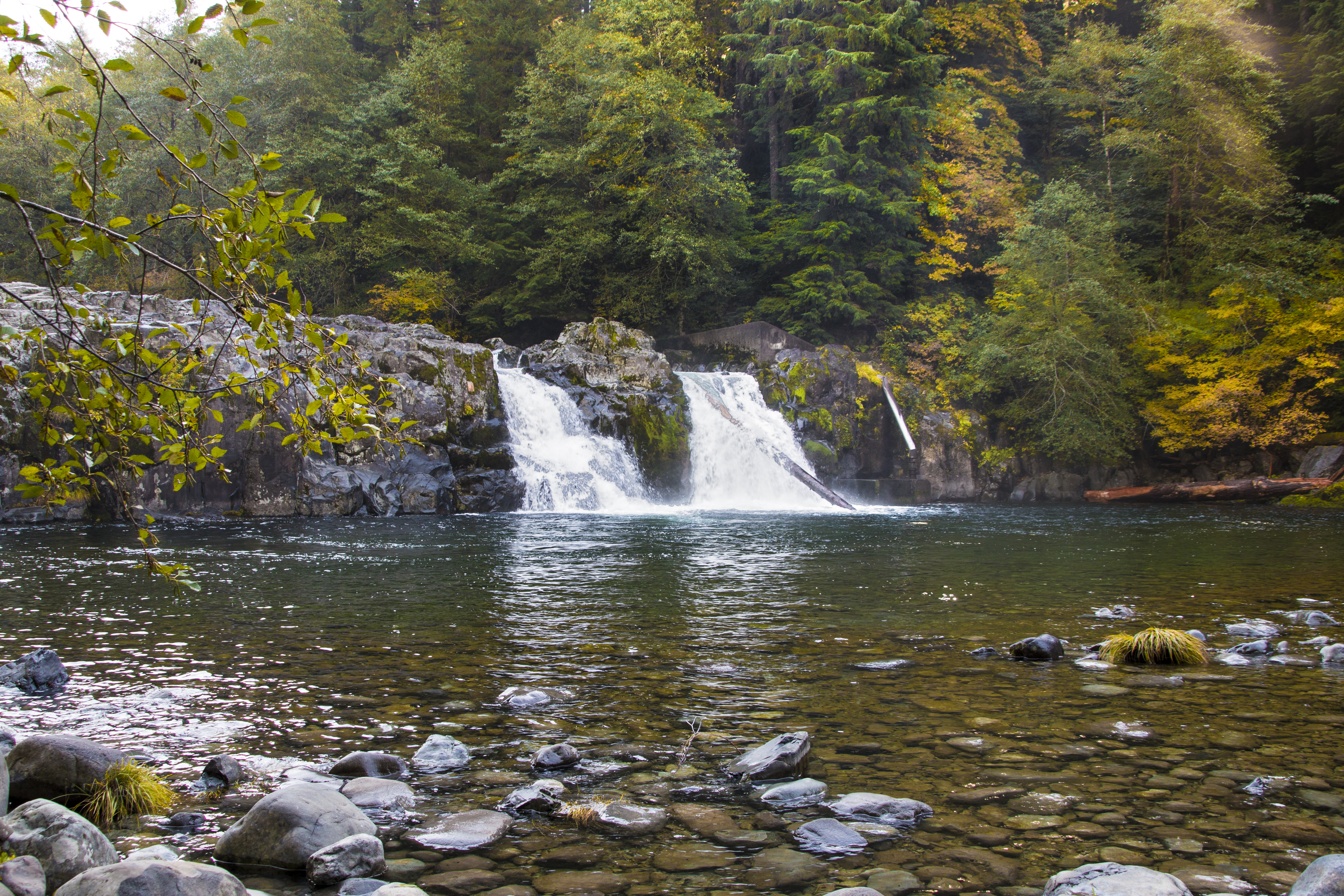 Salmon falls, marion county, oregon photo