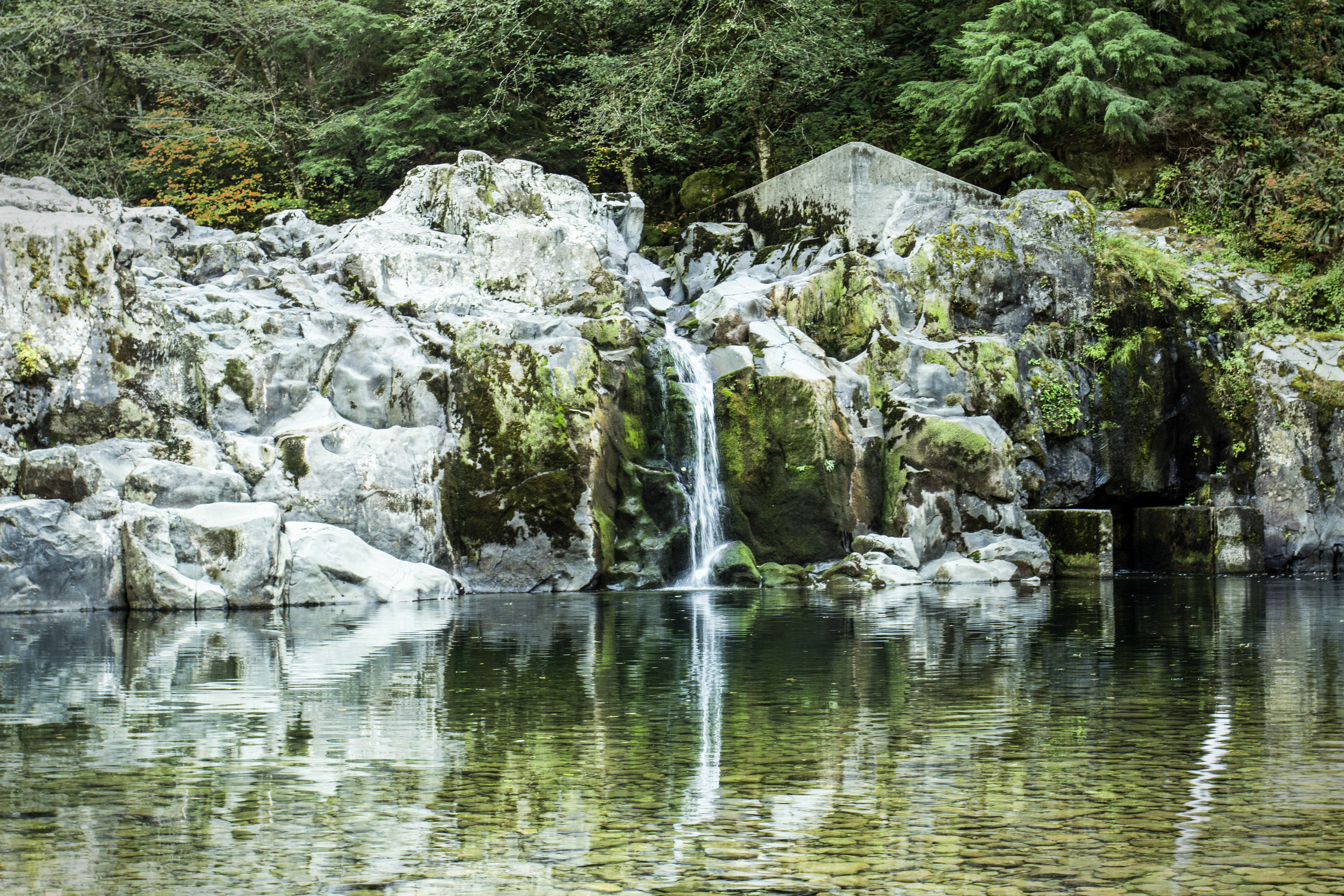 Salmon Falls, Waterfalls, Oregon, Clear, Falls, Forest, Hole, HQ Photo