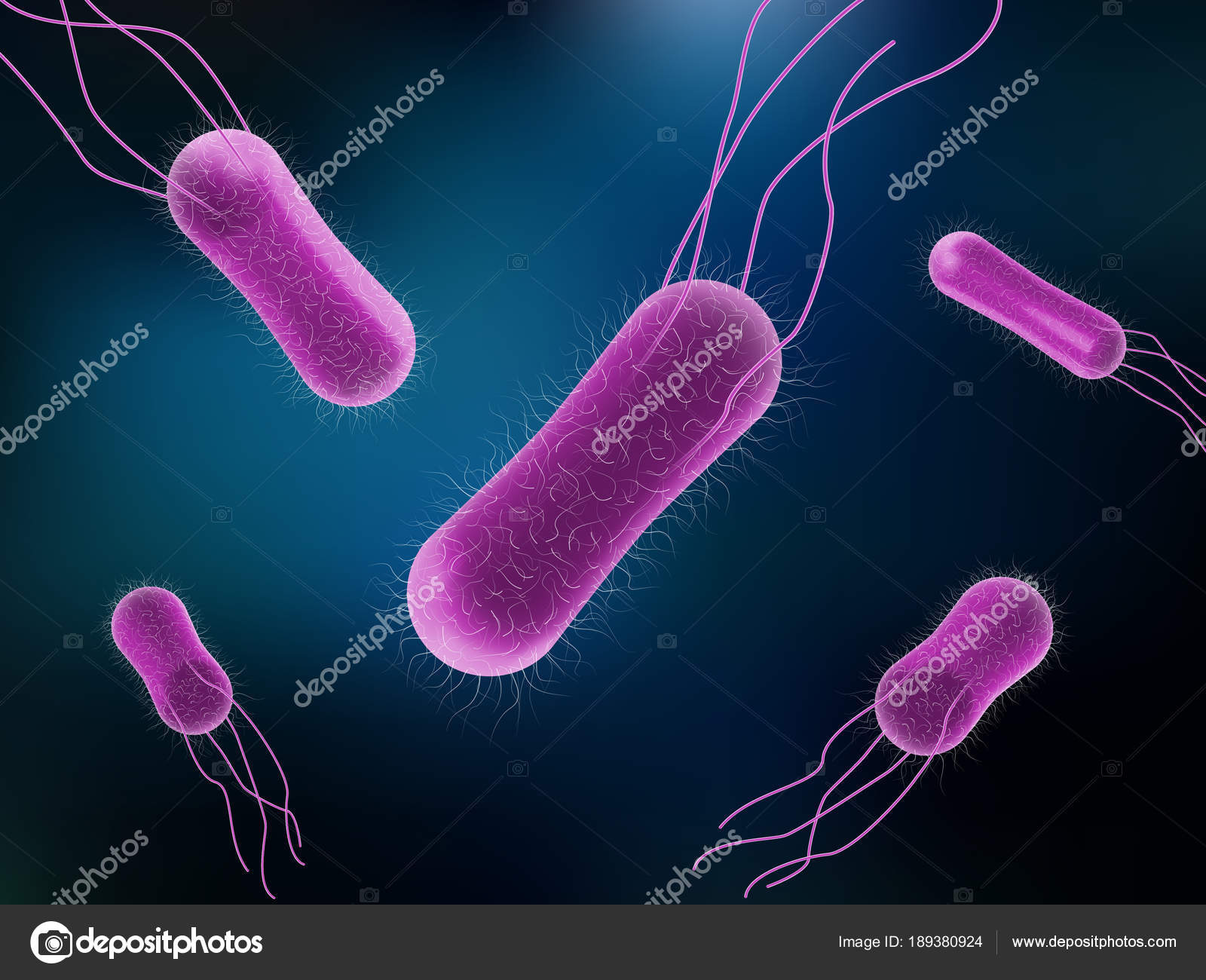 Vector illustration of Salmonella Bacteria for medicine concept ...