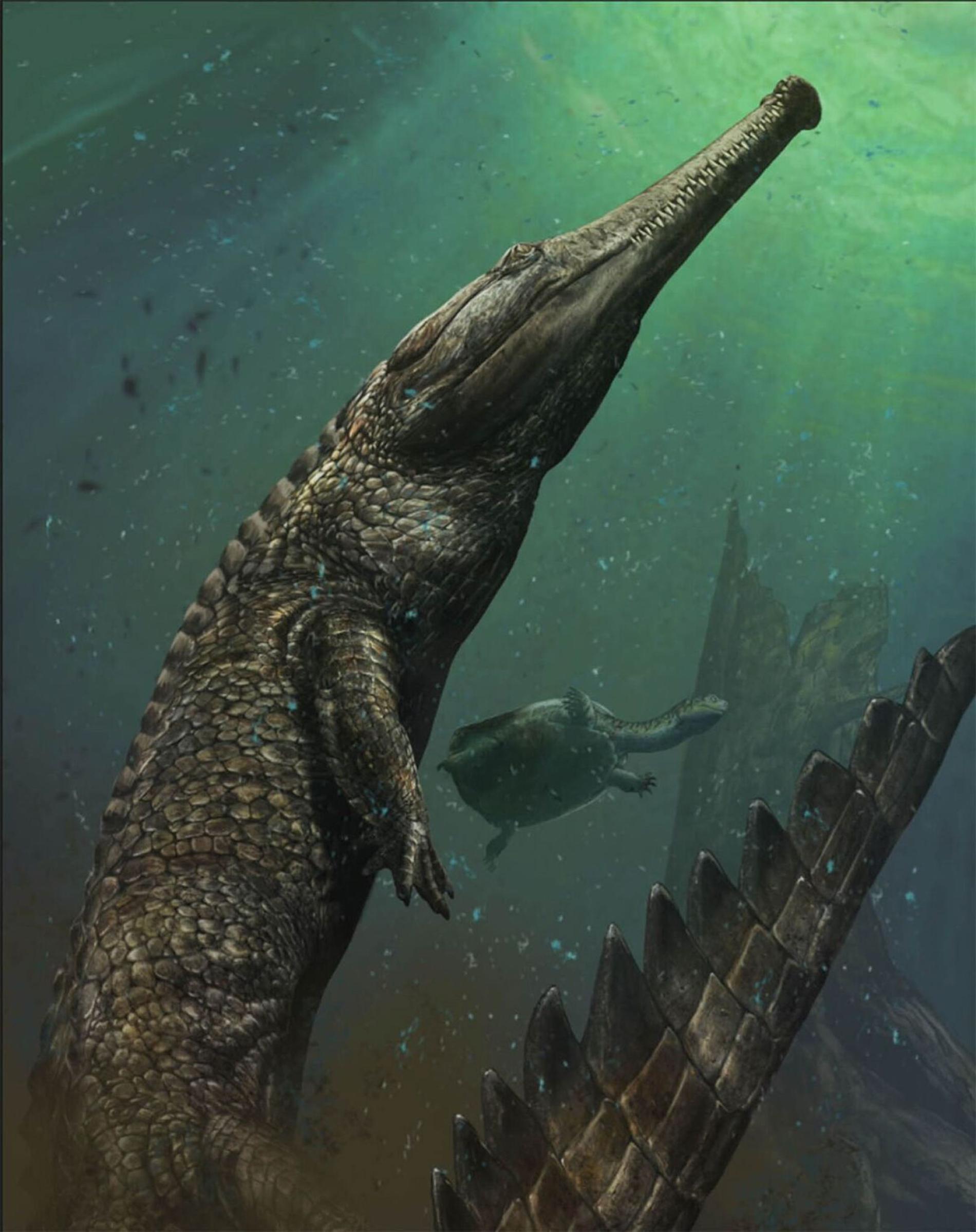 Monster-Size Marine Crocodile Discovered
