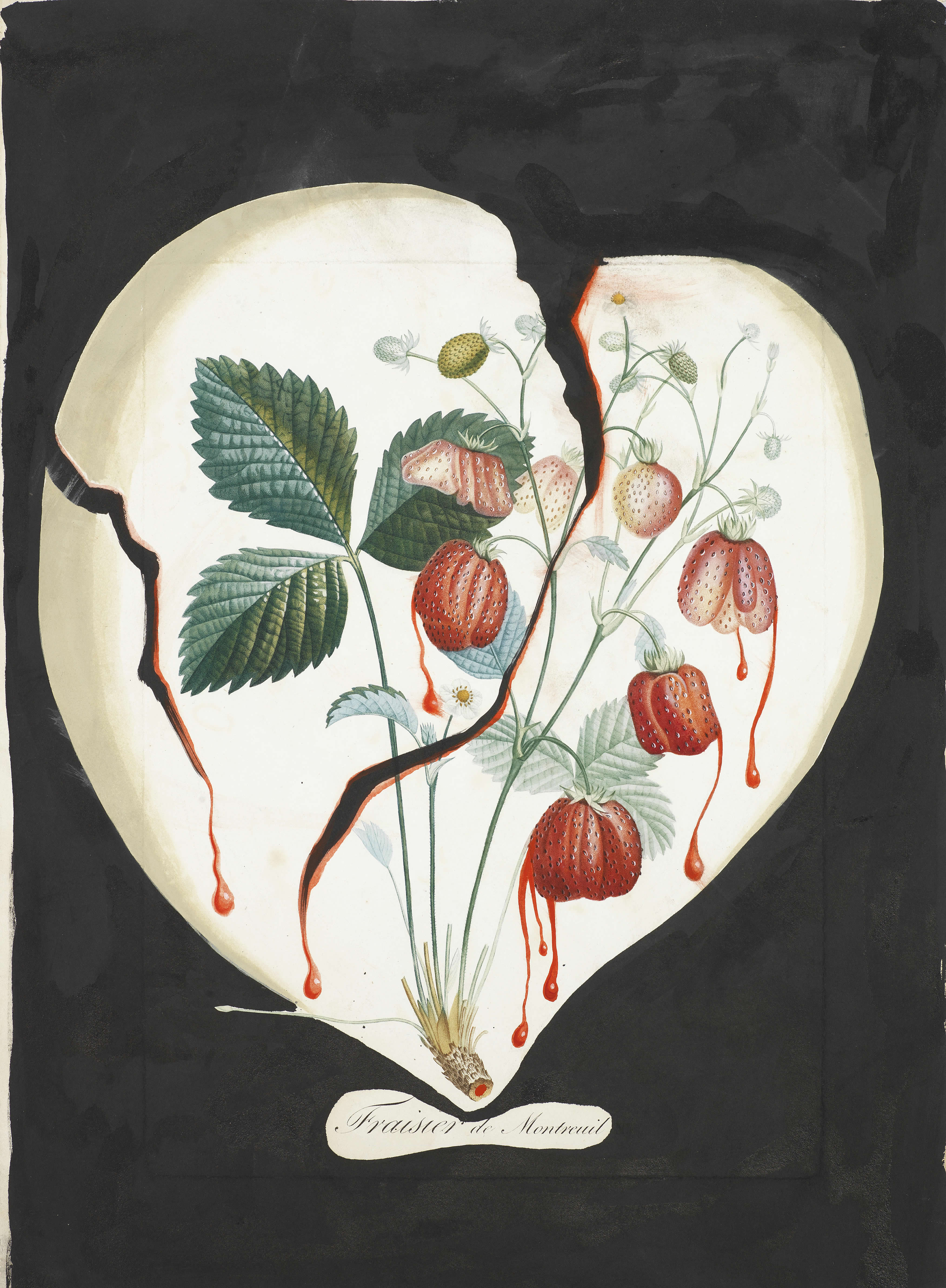 The History Blog » Blog Archive » Salvador Dalí fruit watercolors ...