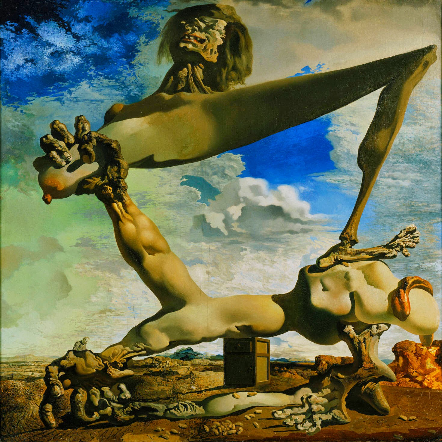 Alien Explorations: Goya illustrations inspired Salvador Dali's ...
