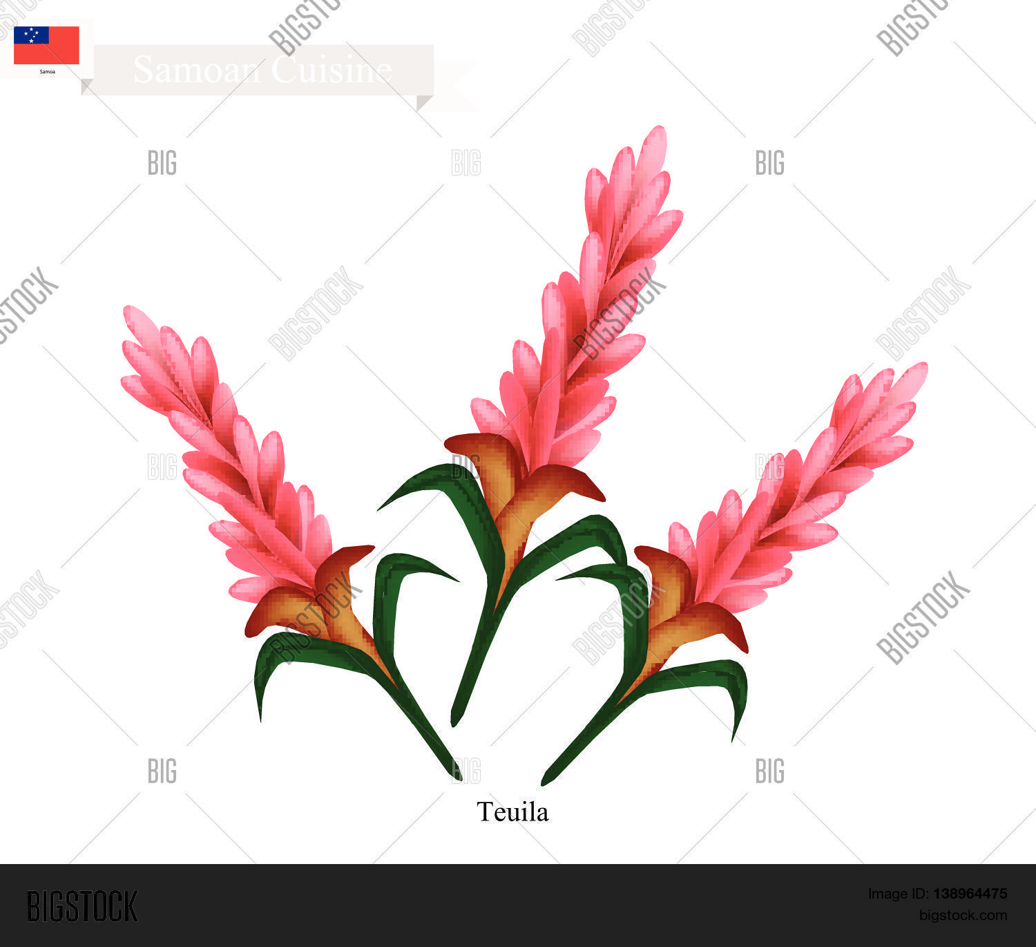 Samoa Flower Illustration Teuila Vector & Photo | Bigstock