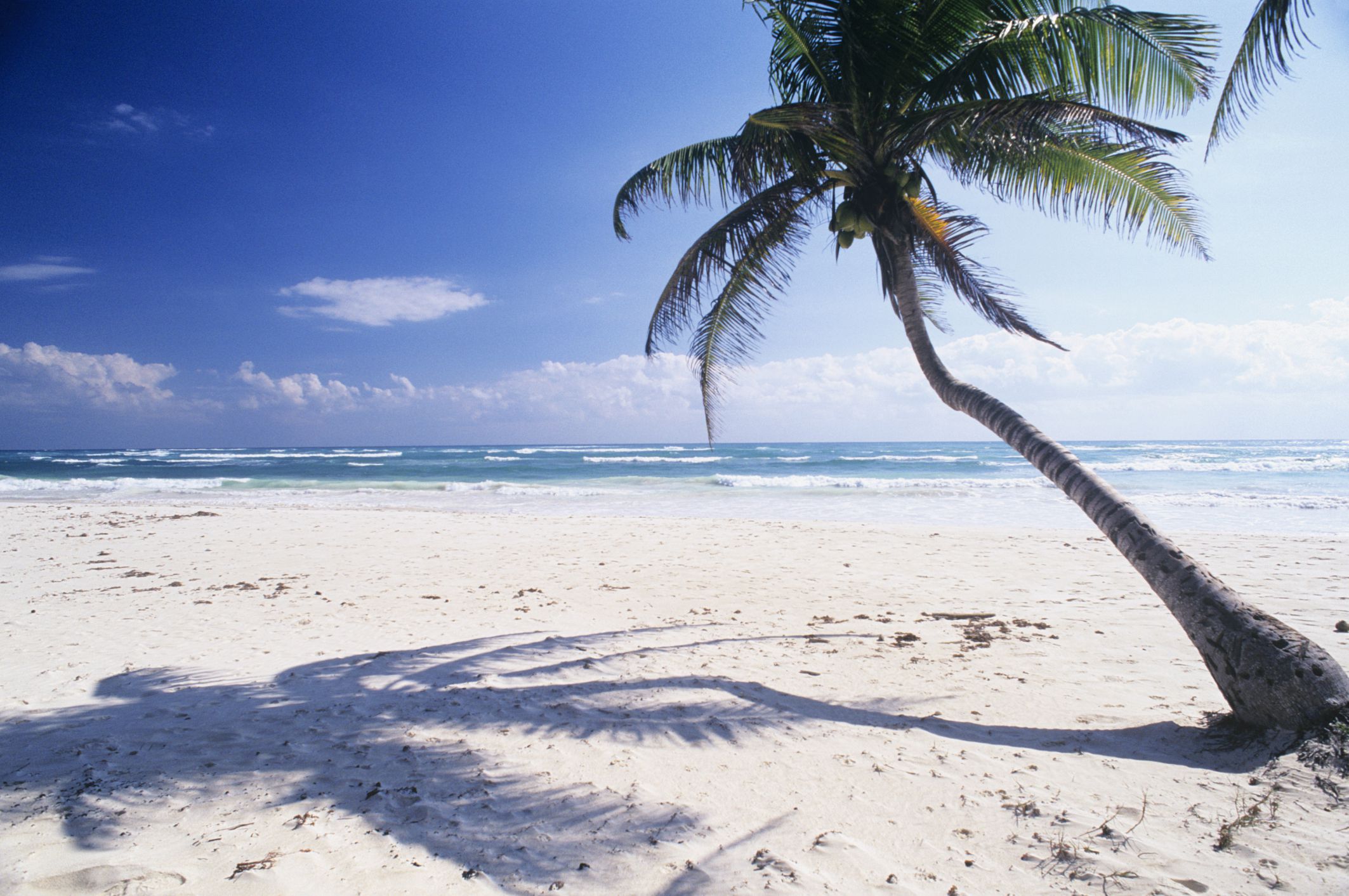 Where to Find Mexico's Best White Sand Beaches