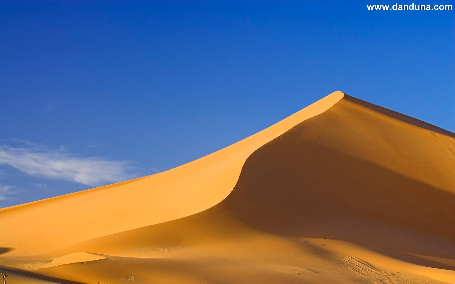 Sand Dune 730794 - WallDevil