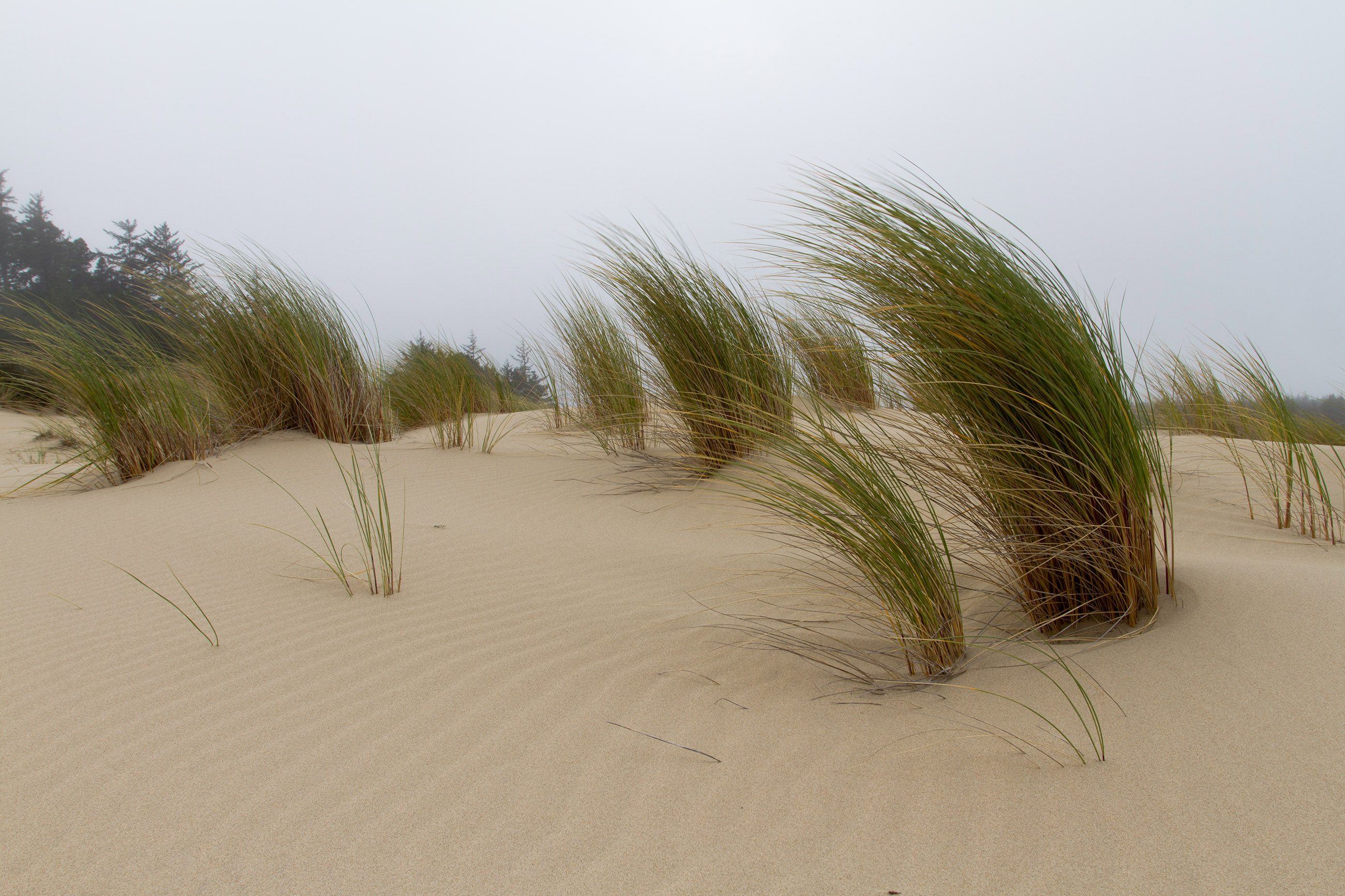 Sand Dunes, Water, Vacation, Trip, Tourism, HQ Photo