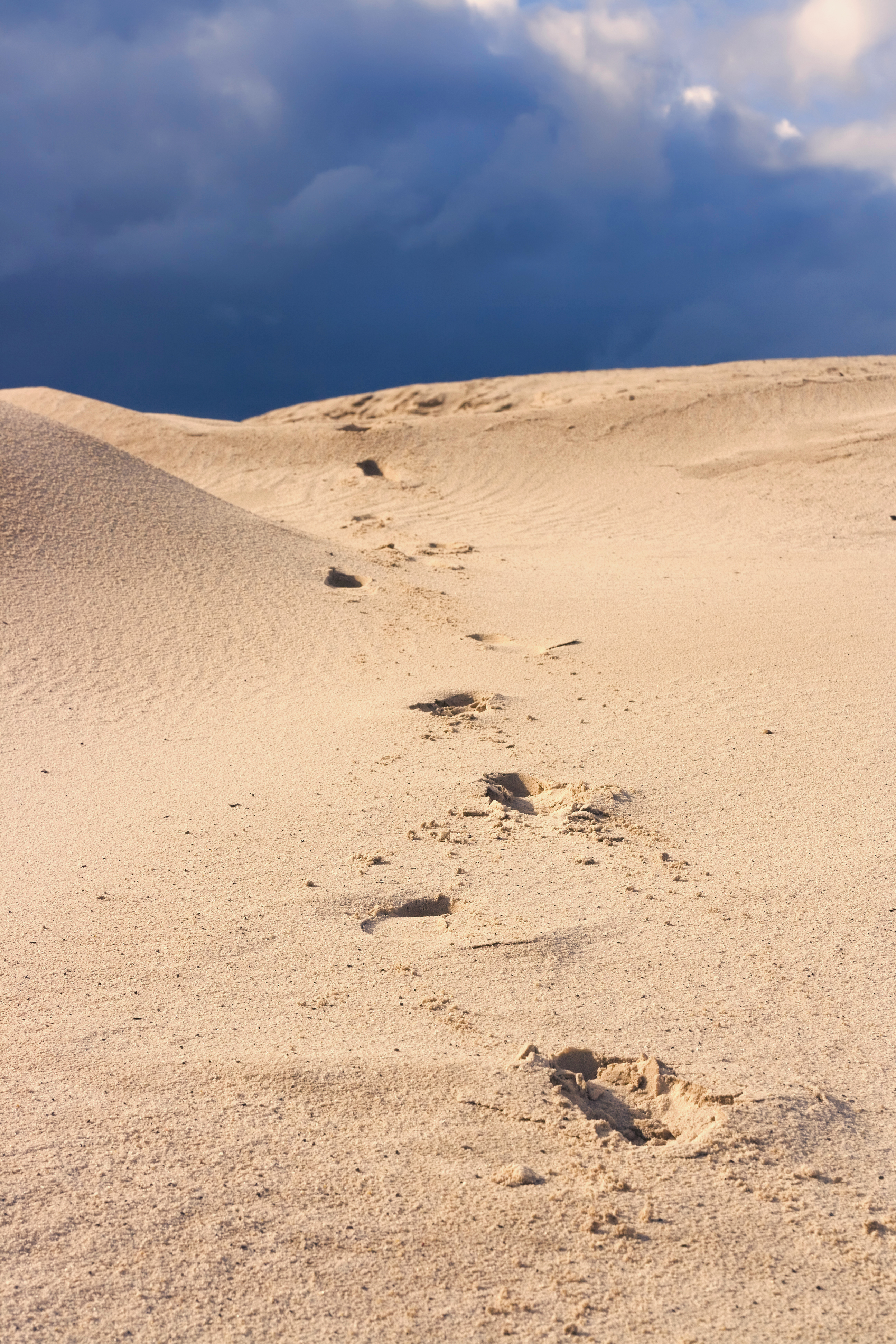 Sand dunes, Desert, Dunes, Footsteps, Sand, HQ Photo