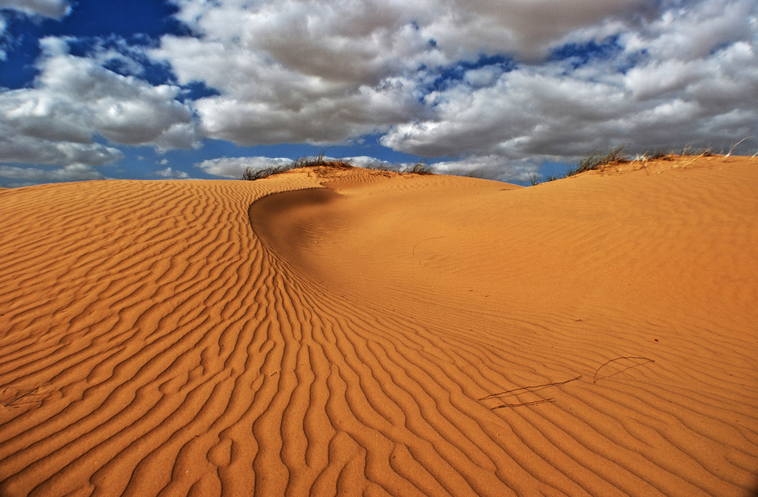 Горячий ветер африки 5 букв. Пески Каракумы. Дюны Фуэртевентура. Пески дюны. Каракумы пустыня.