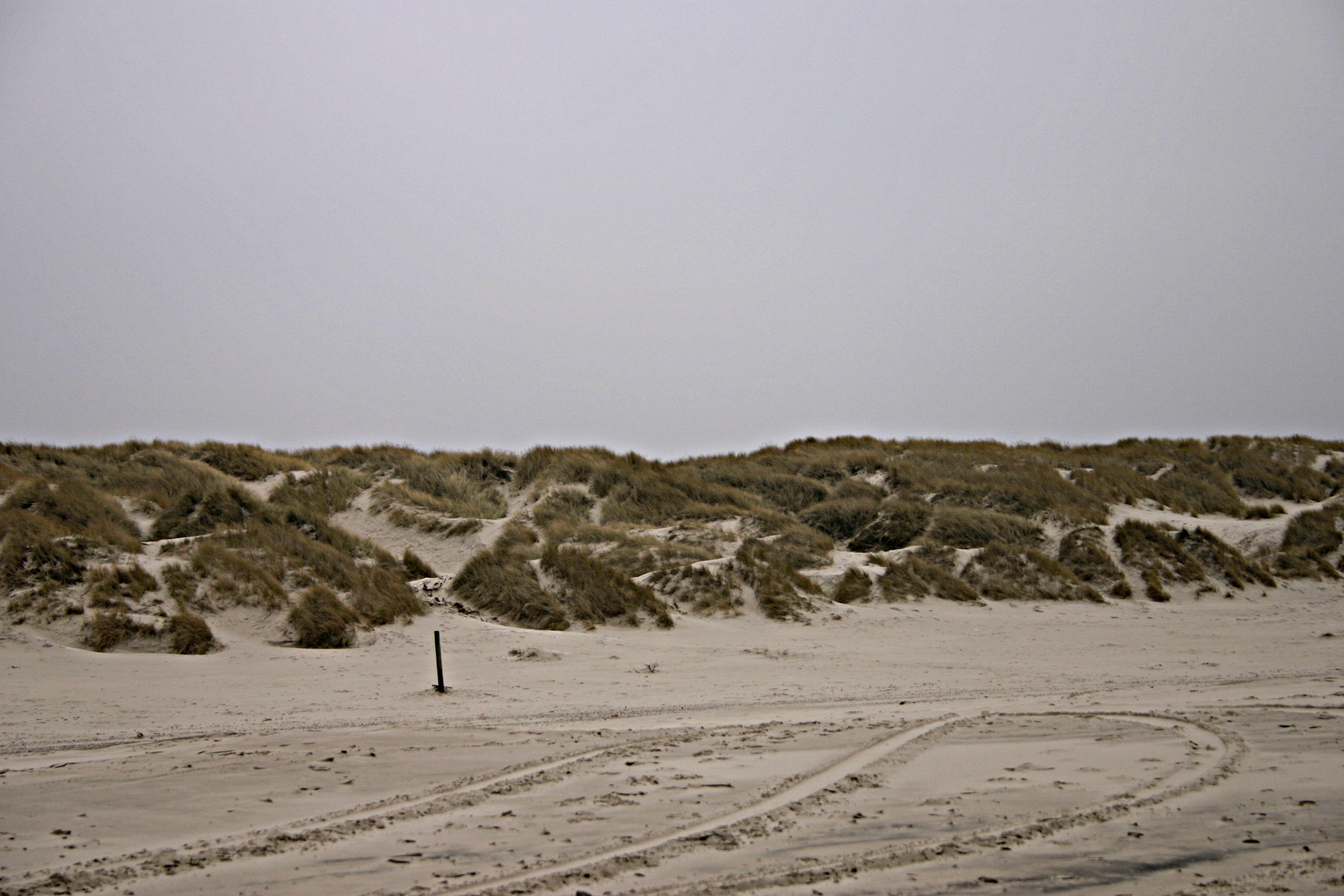 Sand dunes, Beach, Dune, Sand, Straws, HQ Photo