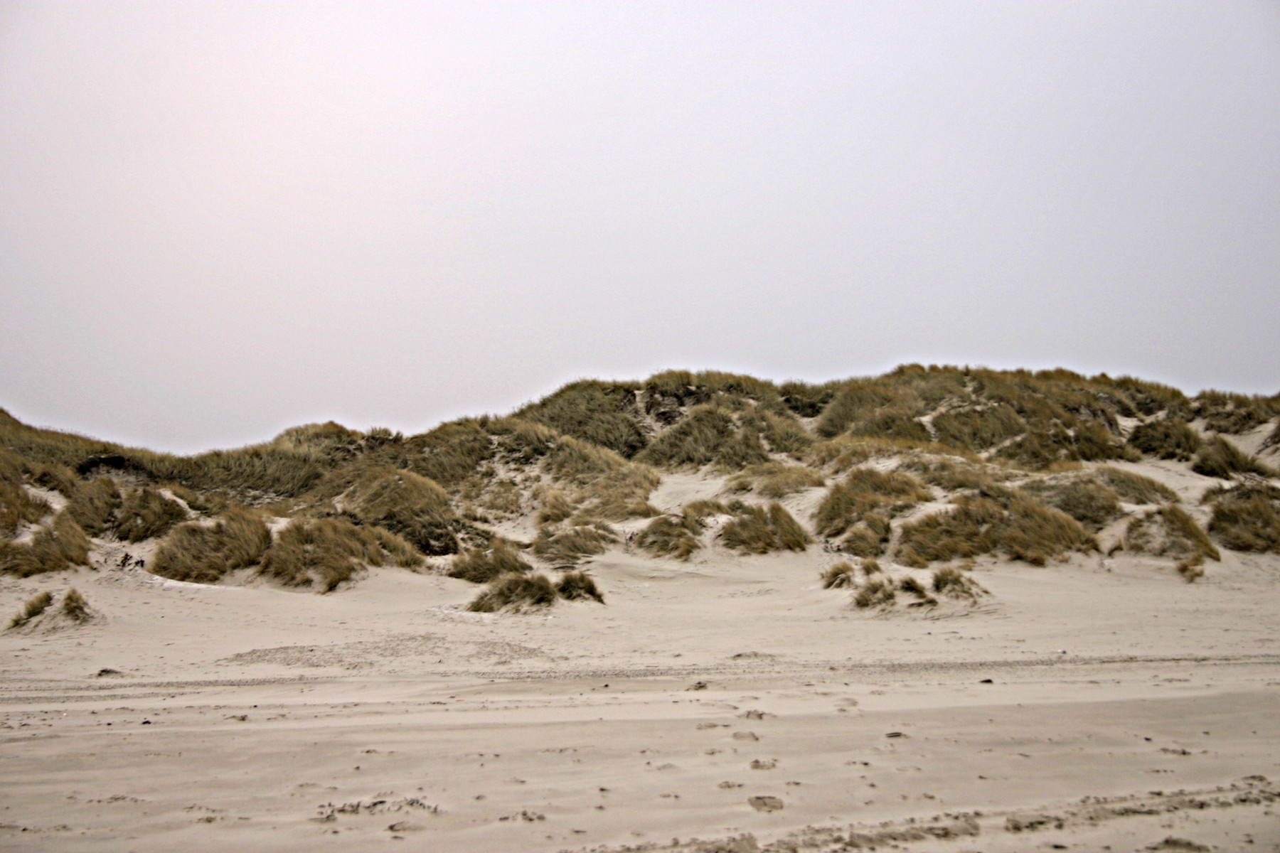 Sand dunes, Beach, Dune, Sand, Straws, HQ Photo
