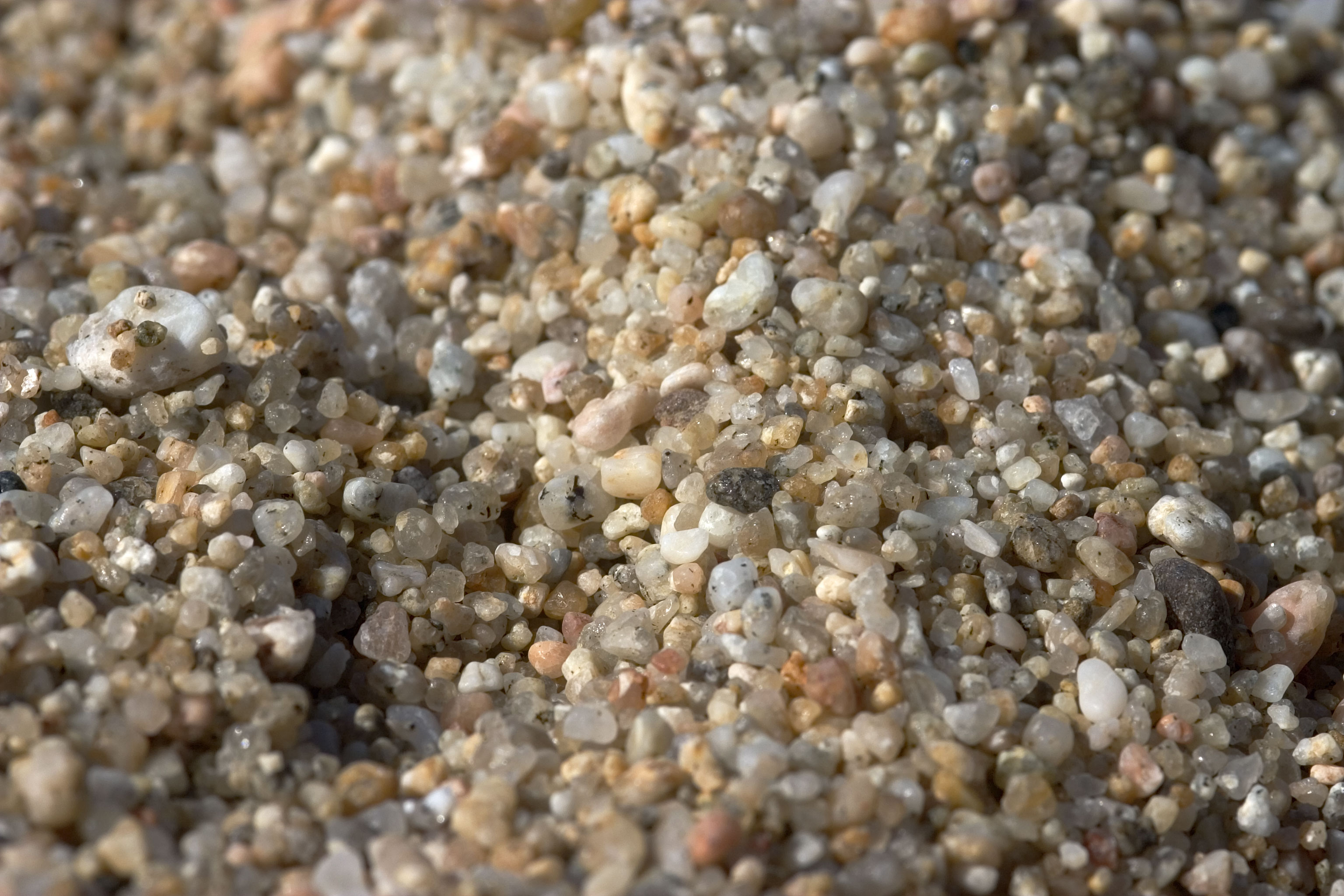 Sand grains photo