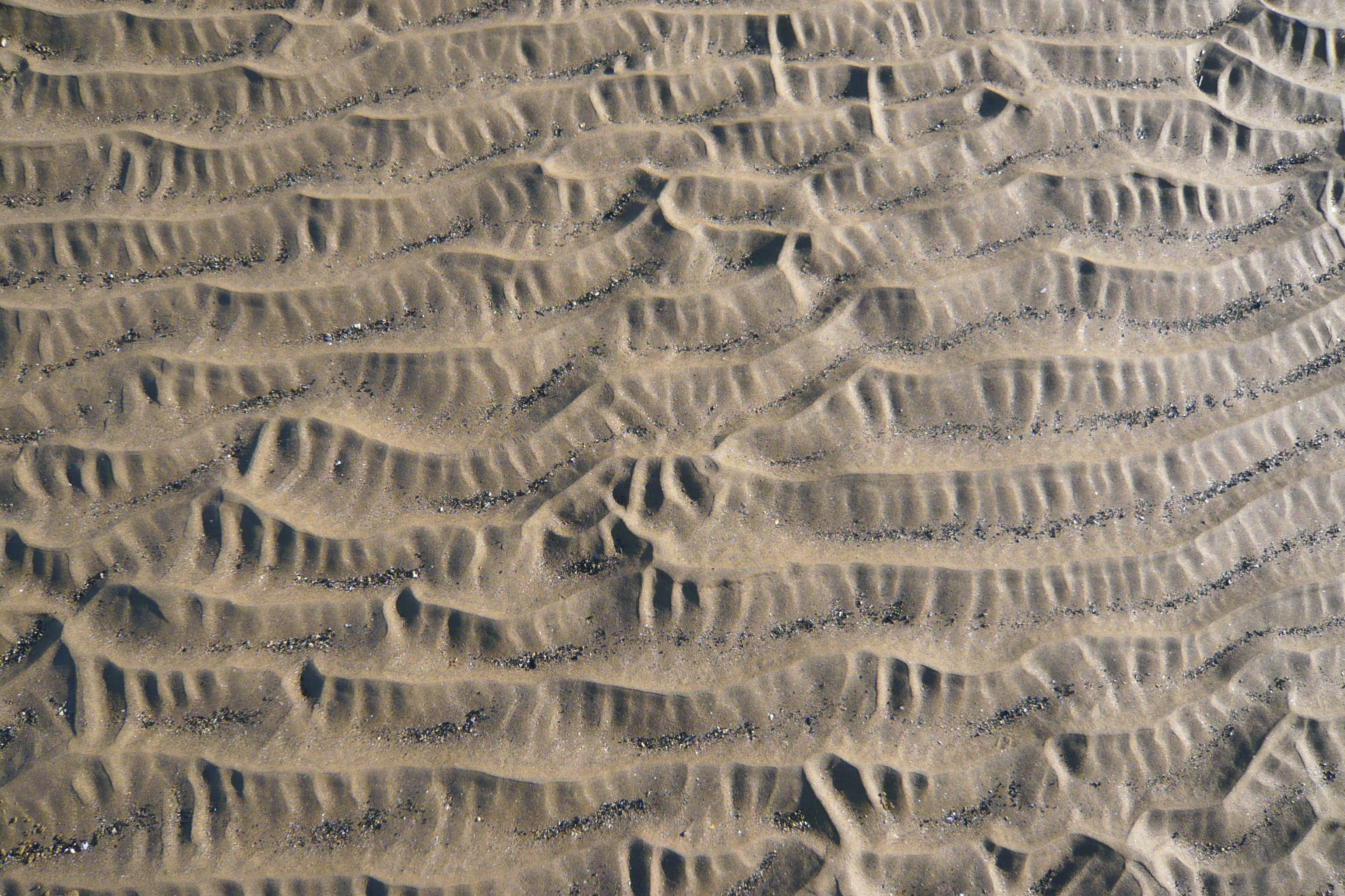 File:Sand patterns (2270226964).jpg - Wikimedia Commons