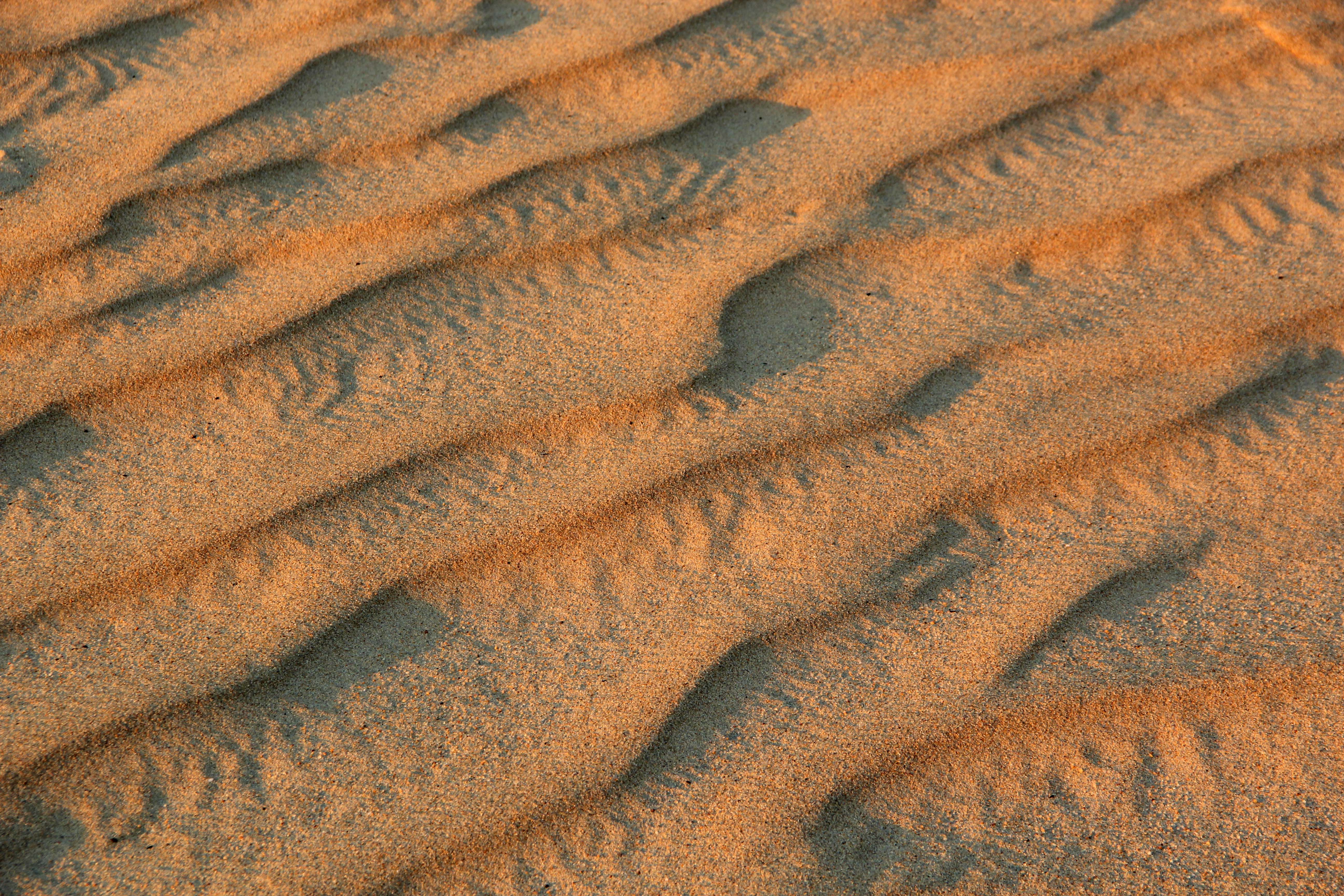 Jockey's Ridge Sand Dune | Frogsview's Blog