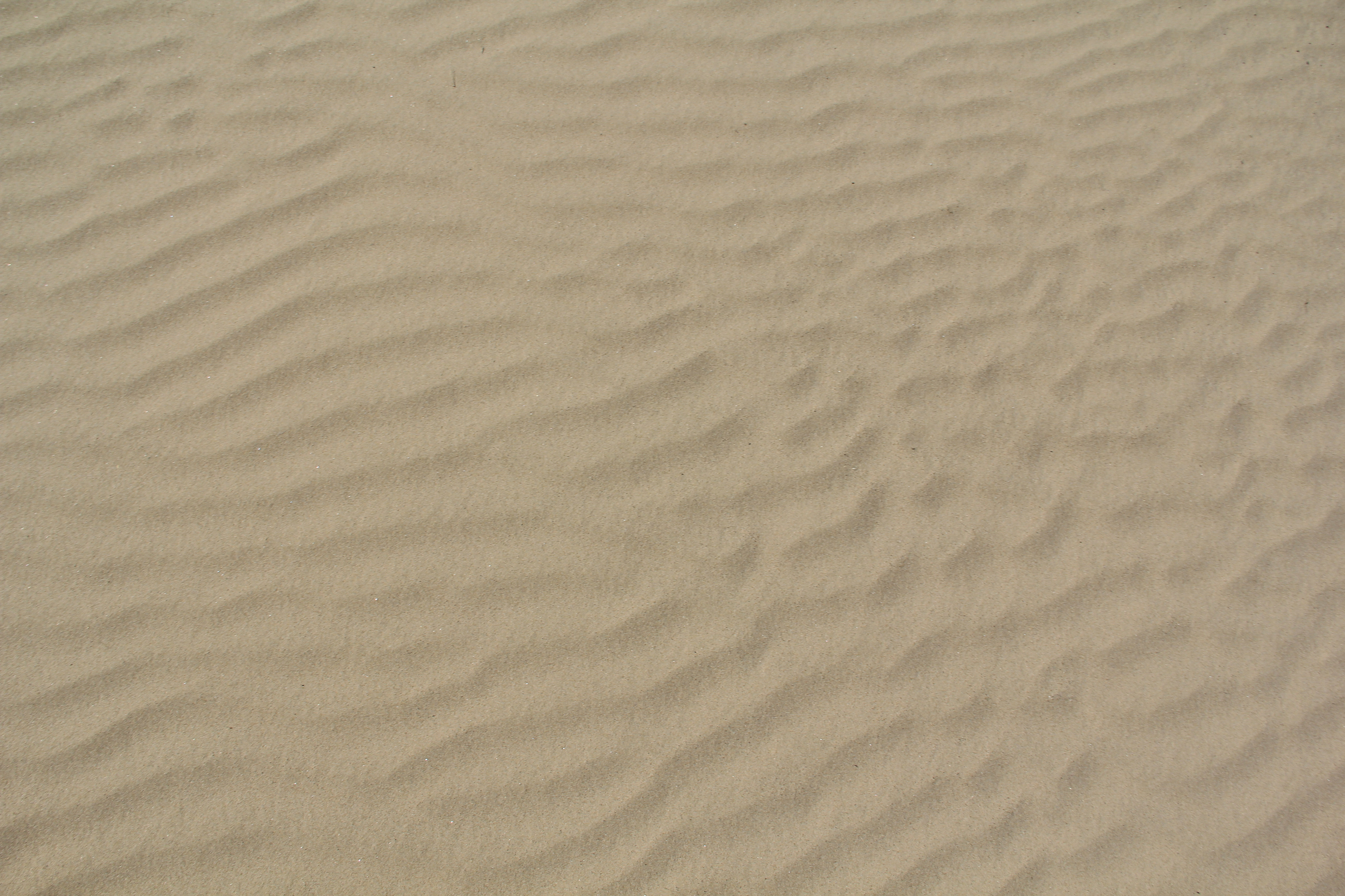 Rippled sand texture ground surface beach stock photo - TextureX ...