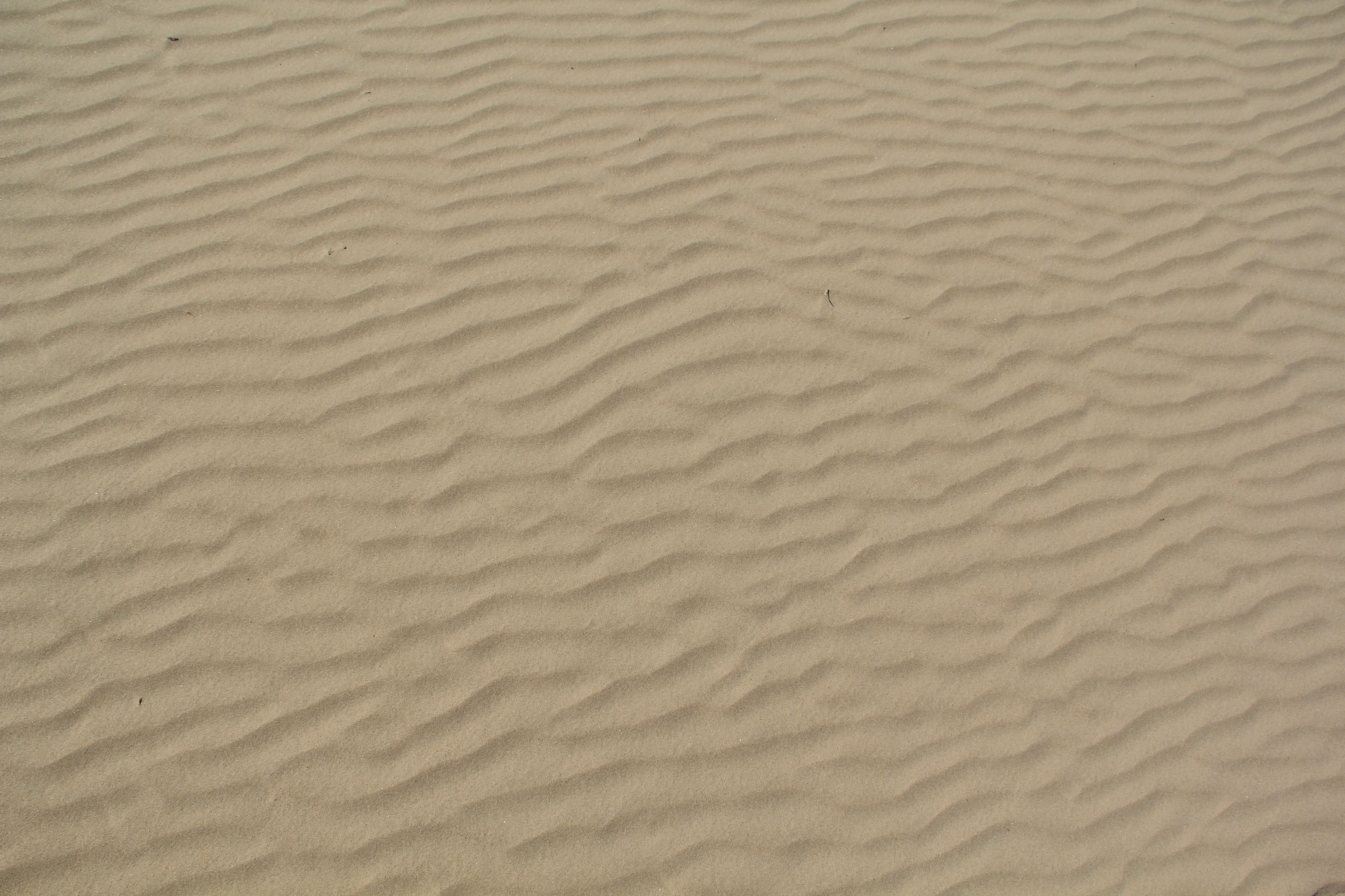 texturex white sand texture light ripples beach dune texture ...
