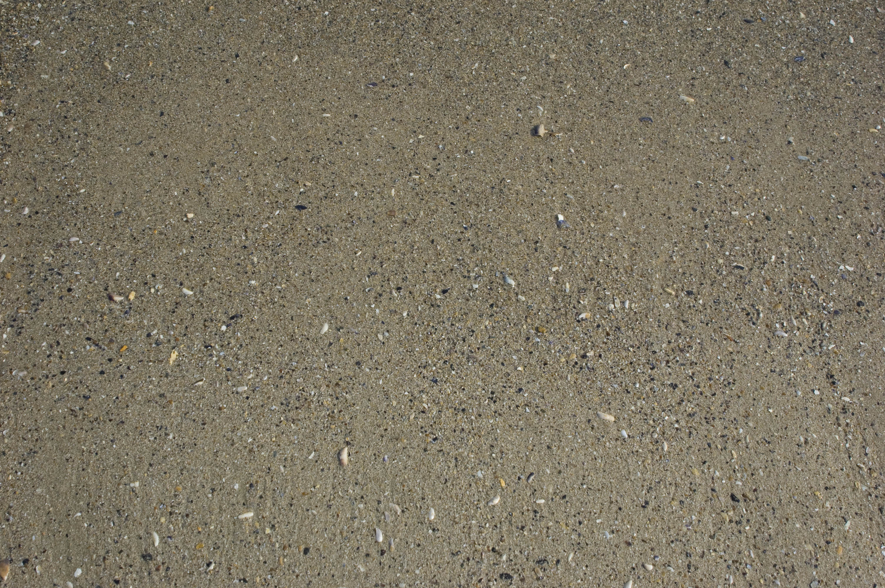 Wet sand texture download free textures