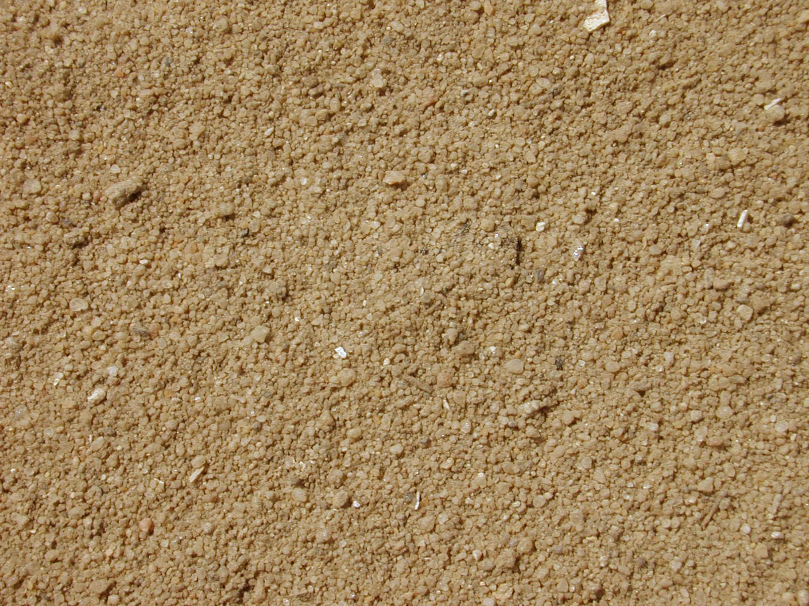sand texture, sand, texture sand, beach, background, background ...