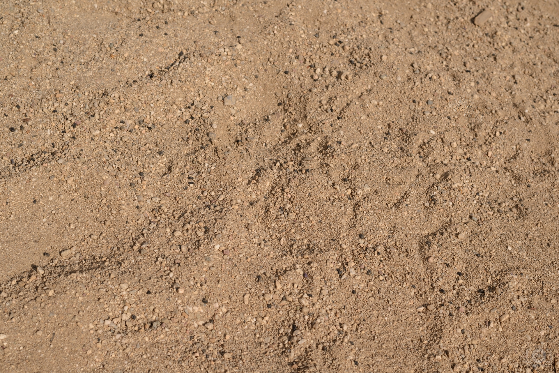 Stones and Sand Texture - High-quality Free Backgrounds