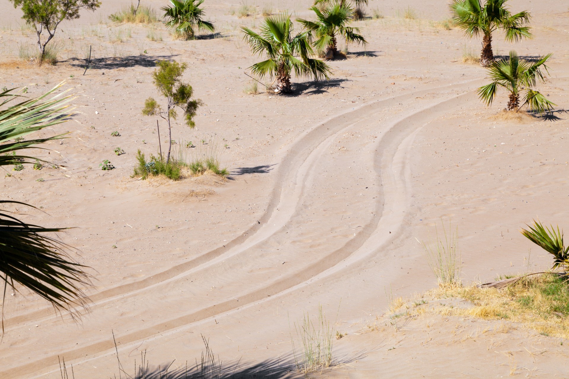 Tire Tracks In Sand Free Stock Photo - Public Domain Pictures
