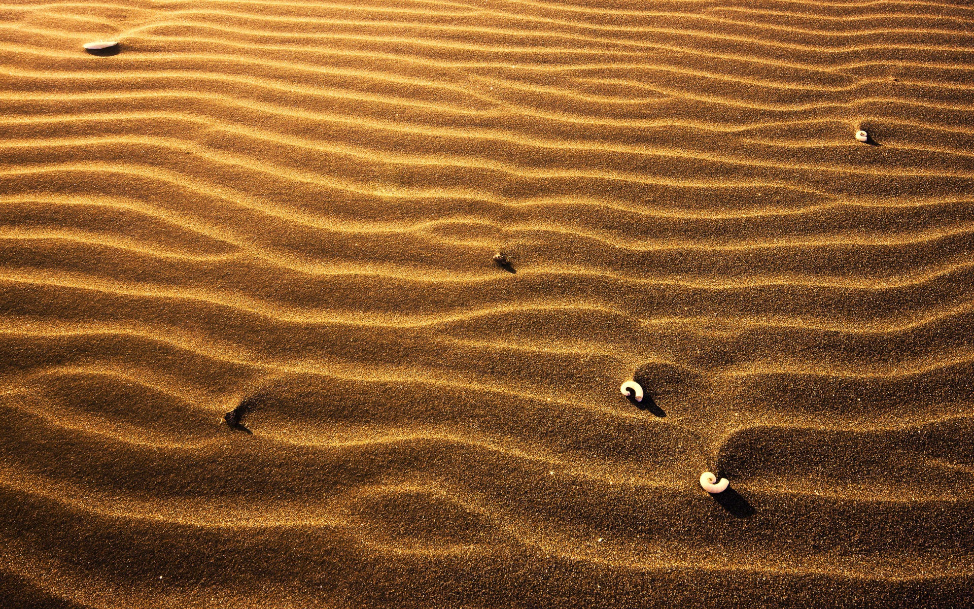Desert Sand Waves Close Up Free Wallpaper HD