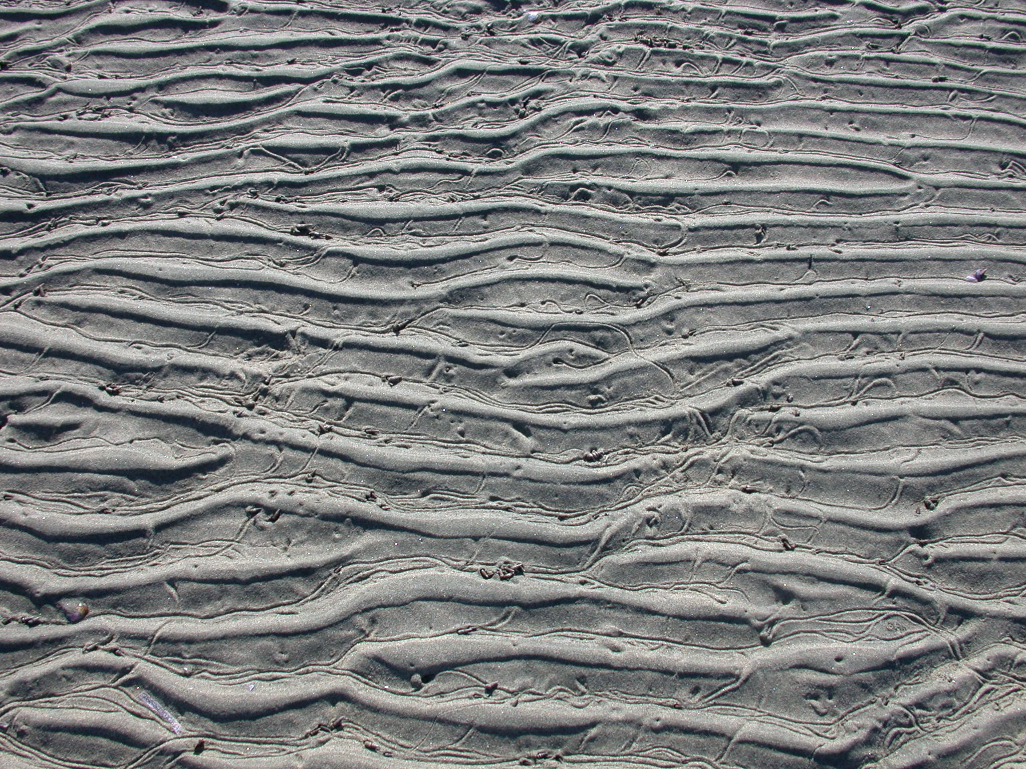 Sand Waves, Beach, Bspo06, Form, Sand, HQ Photo