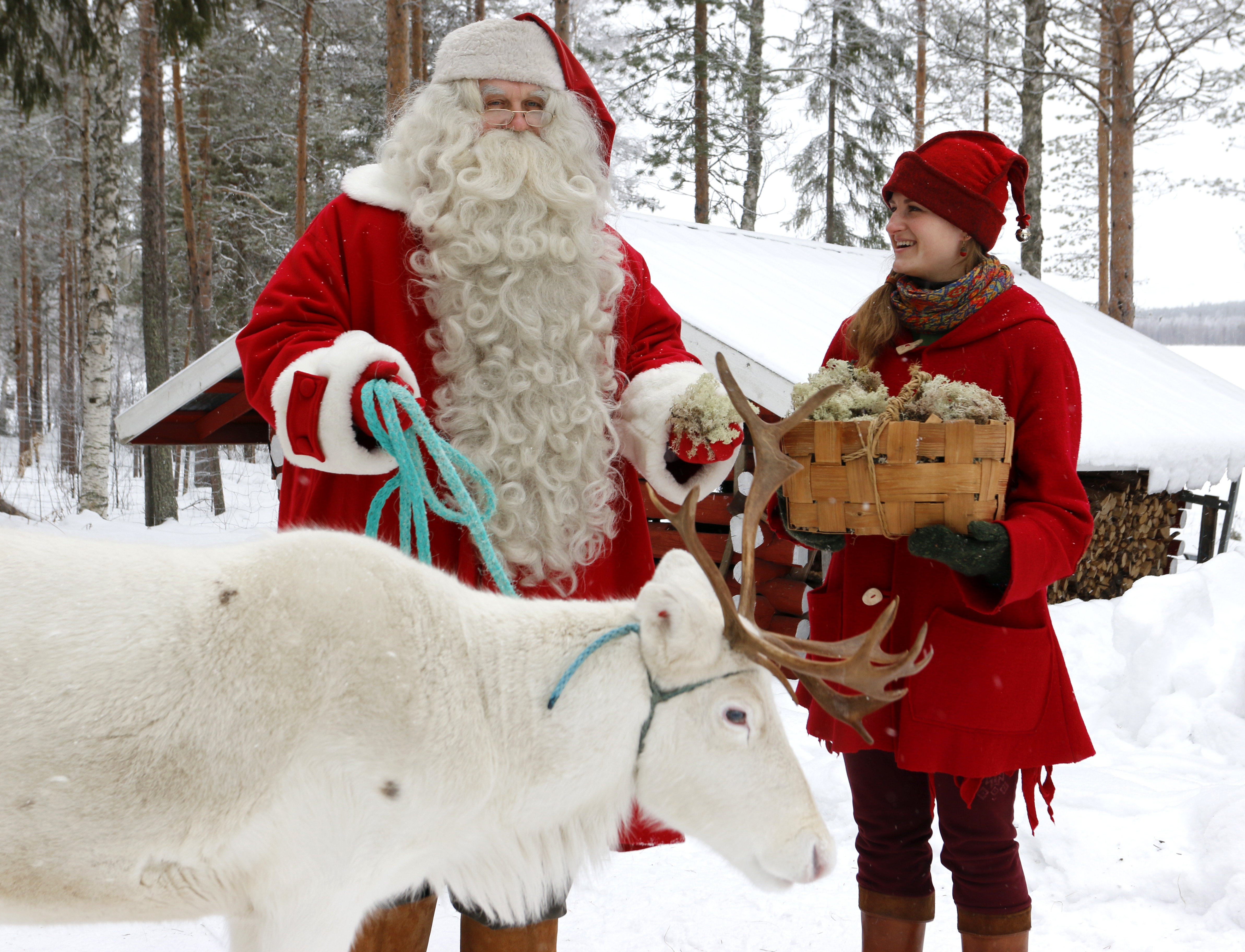 Photo: Santa Claus and elf feeding a reindeer in Lapland Finland