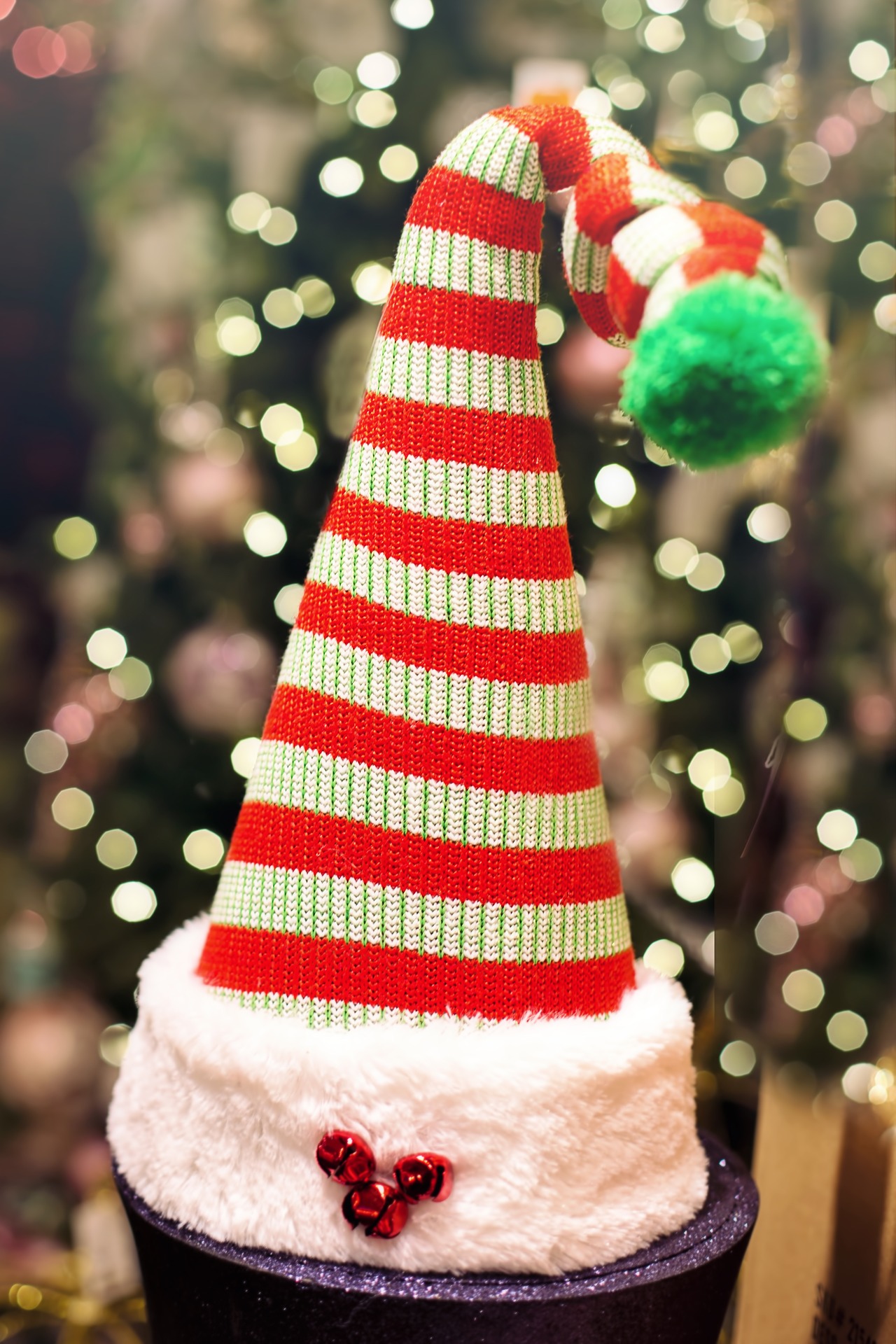 Santa Hat, Christmas, Claus, Hat, Head, HQ Photo